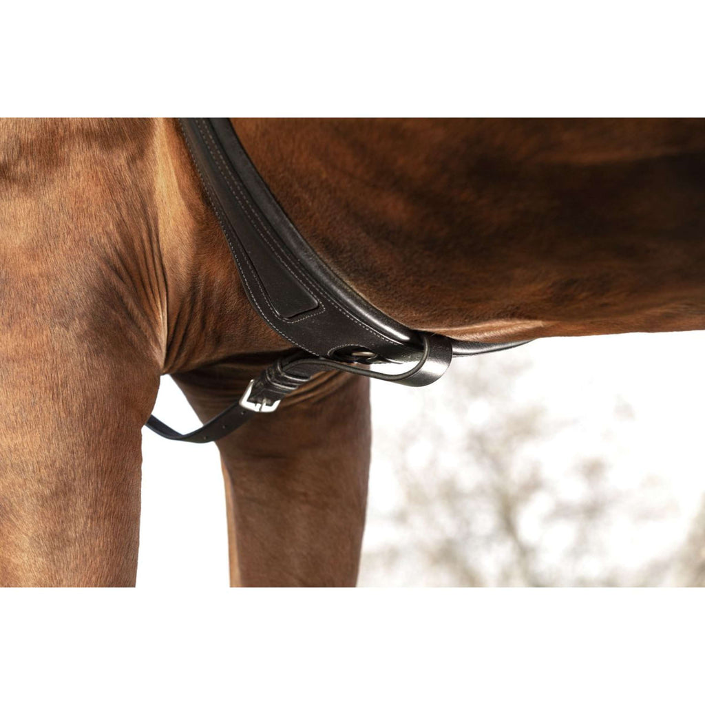 Horseware Micklem Pettorina con martingala Nero