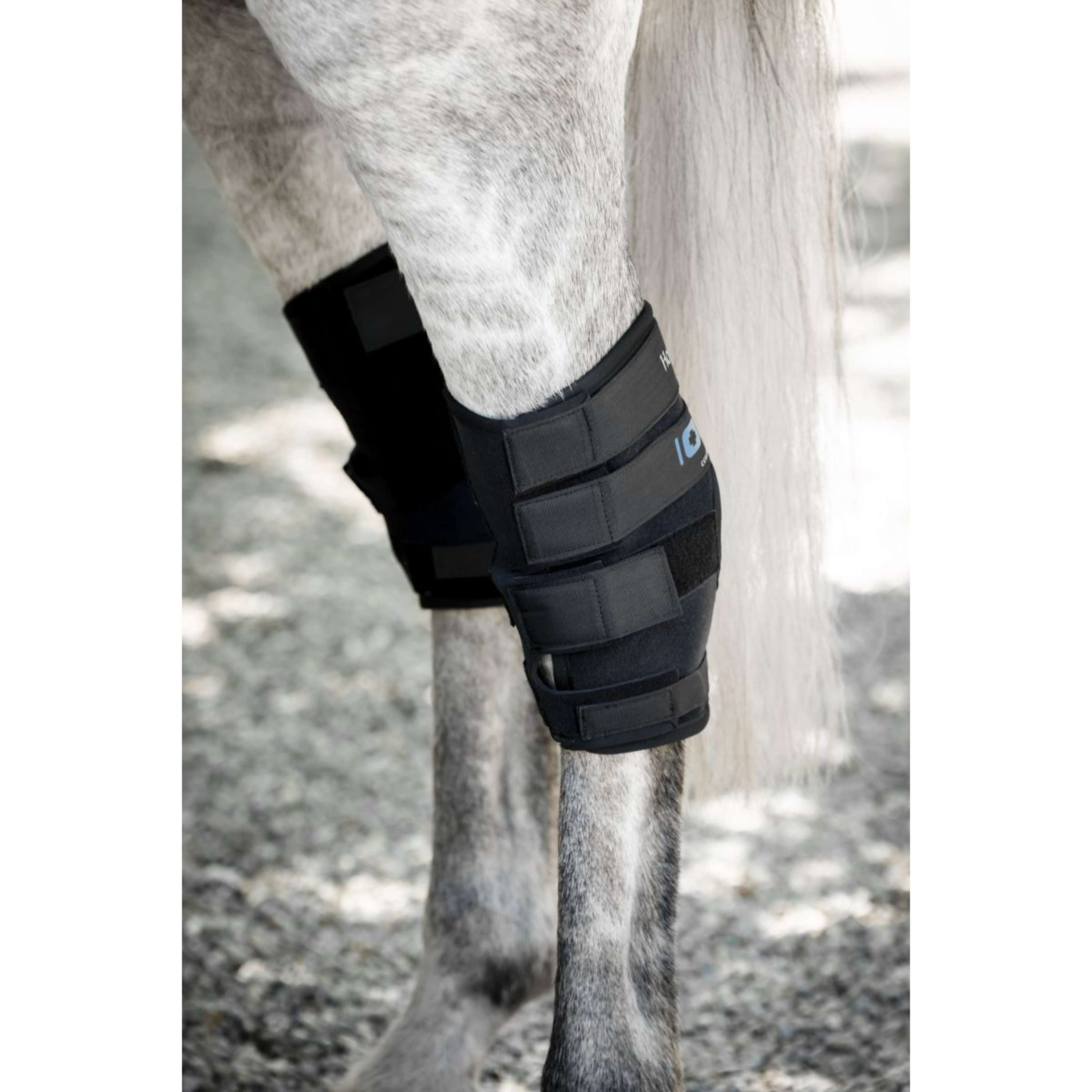Horseware Hock Boots Ionic Set of 2 Nero