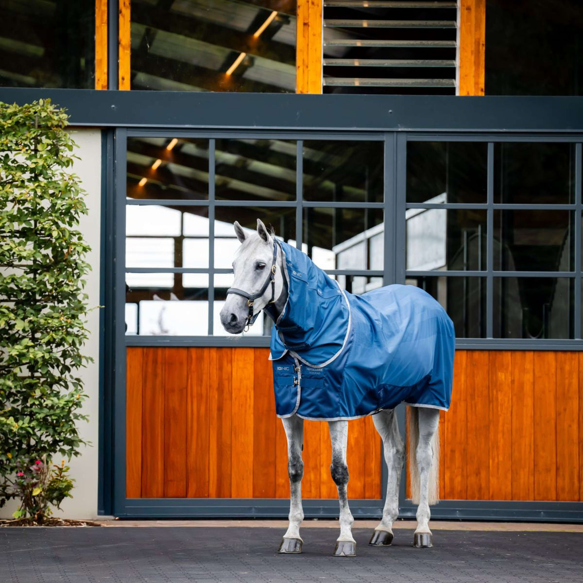 Horseware Copricollo Therapy Mesh Cooler Blu imperiale/Argento/Blu marino