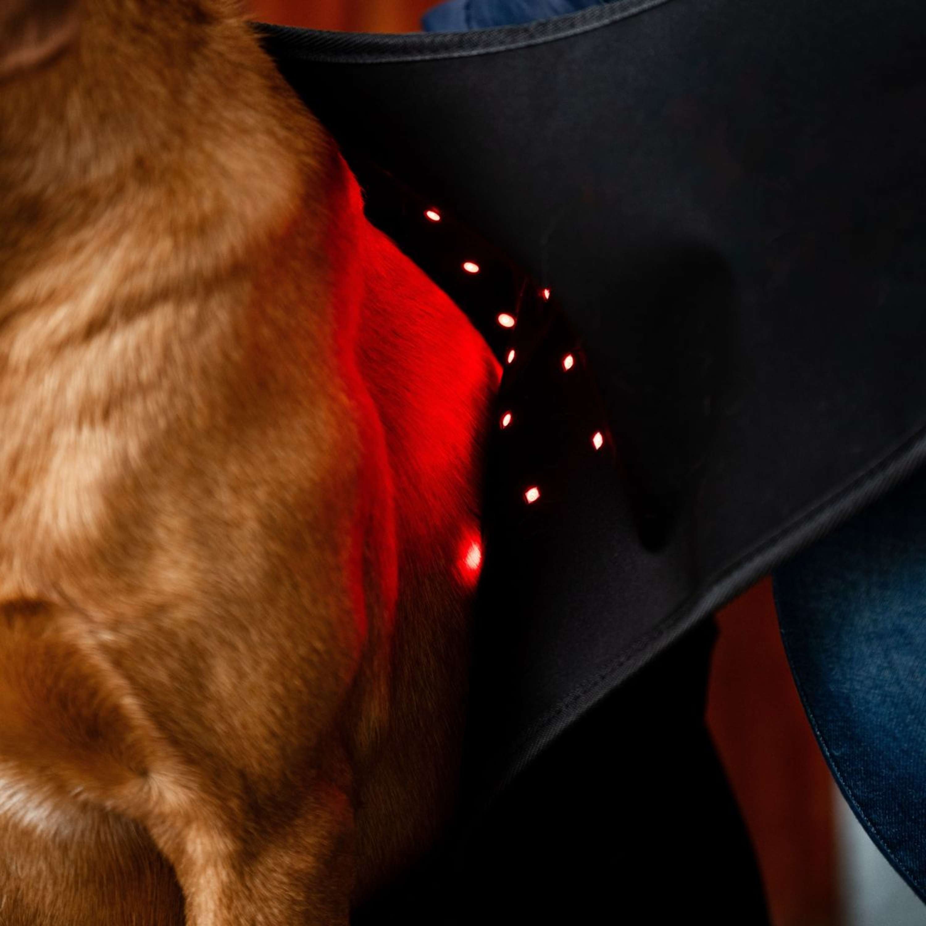 Horseware Pet Leg Wraps LED Red Light Therapy Pair Nero