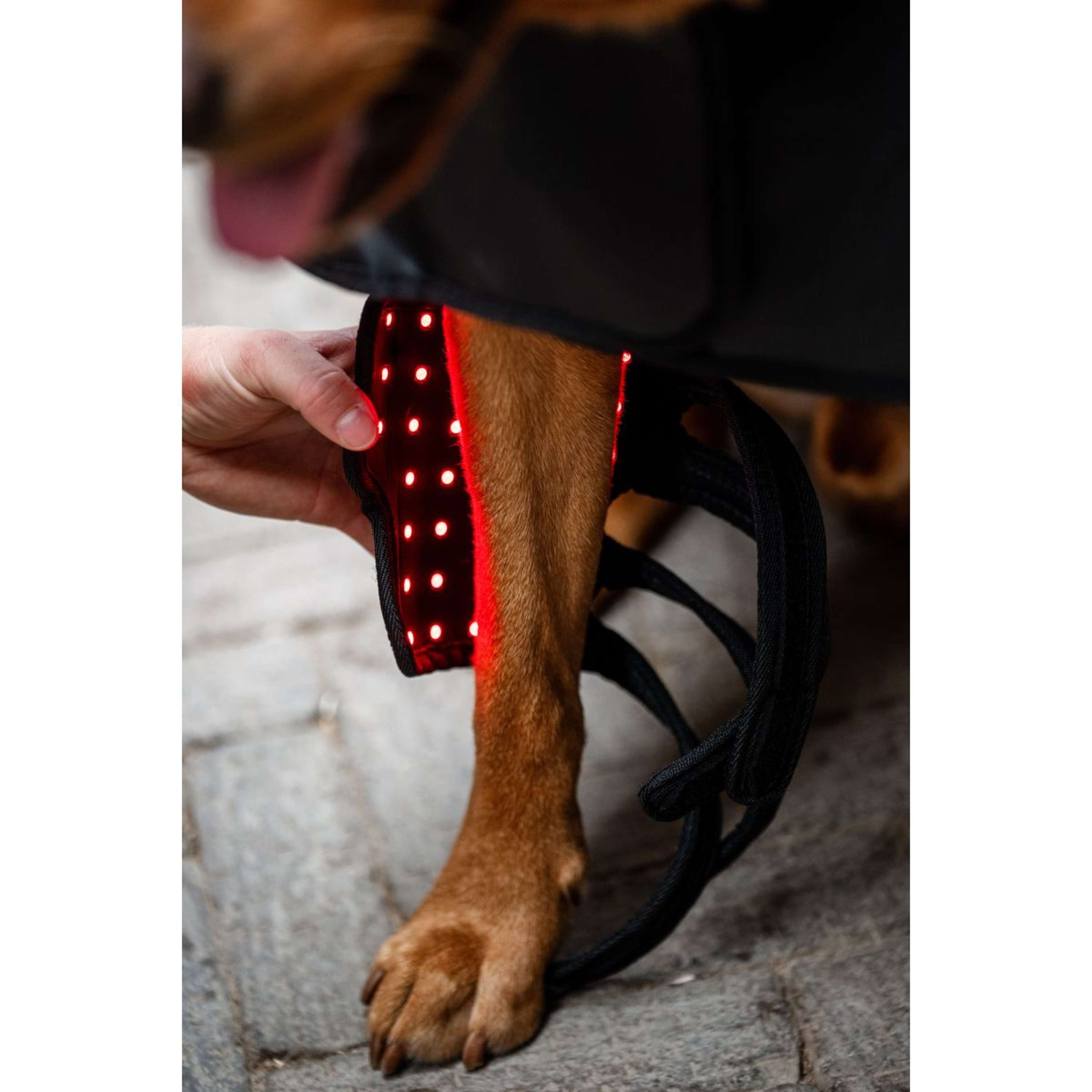 Horseware Pet Leg Wraps LED Red Light Therapy Pair Nero