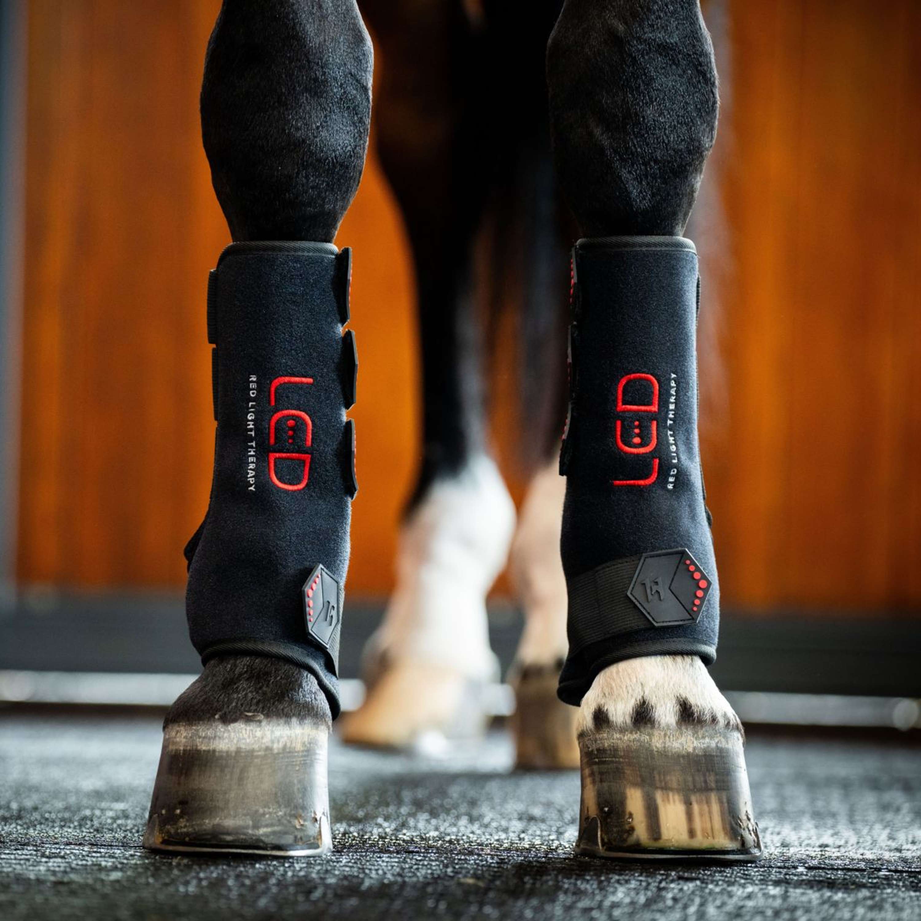 Horseware Leg Wraps LED Red Light Therapy Pair Nero