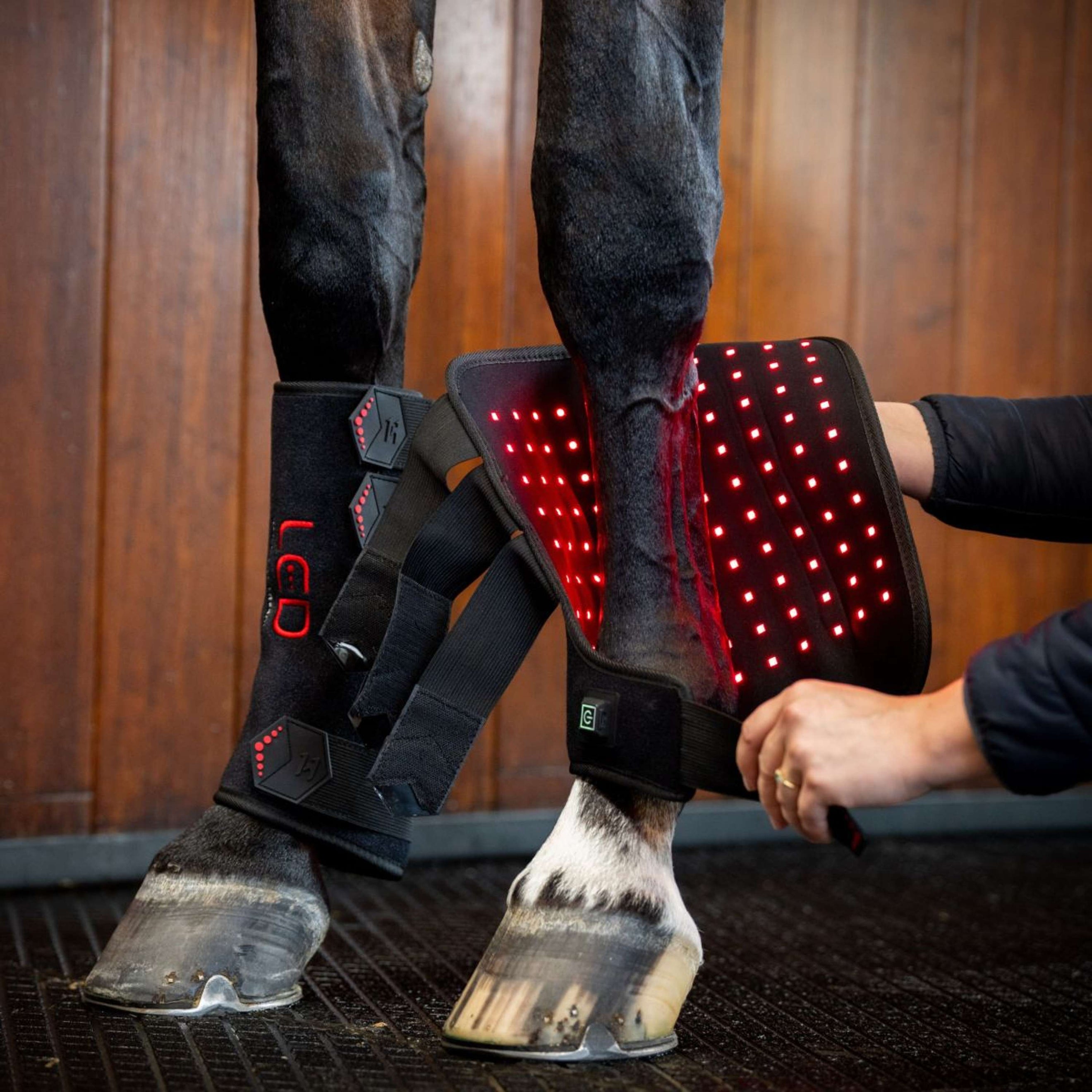 Horseware Leg Wraps LED Red Light Therapy Pair Nero Horseware Leg Wraps LED Red Light Therapy Pair Nero