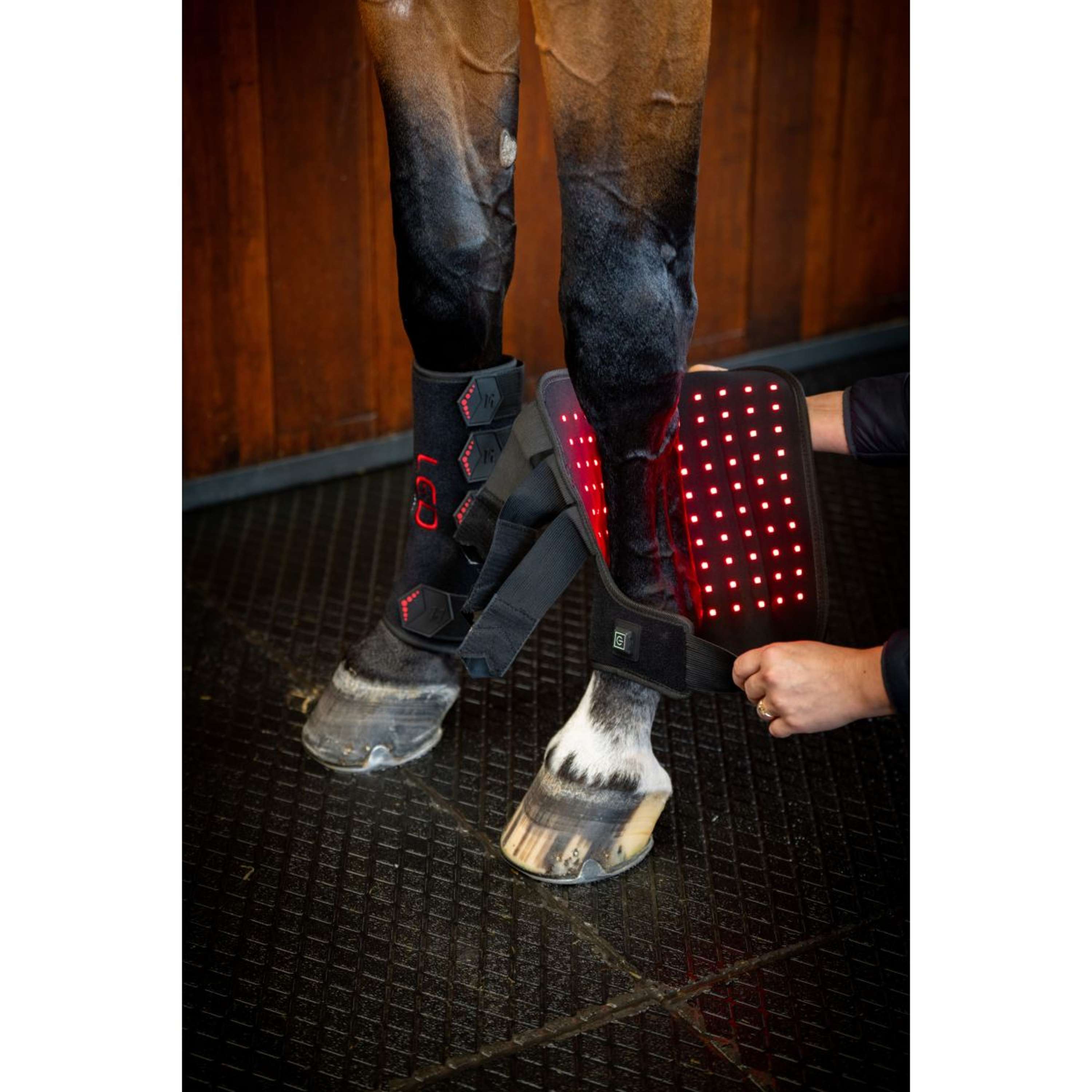 Horseware Leg Wraps LED Red Light Therapy Pair Nero