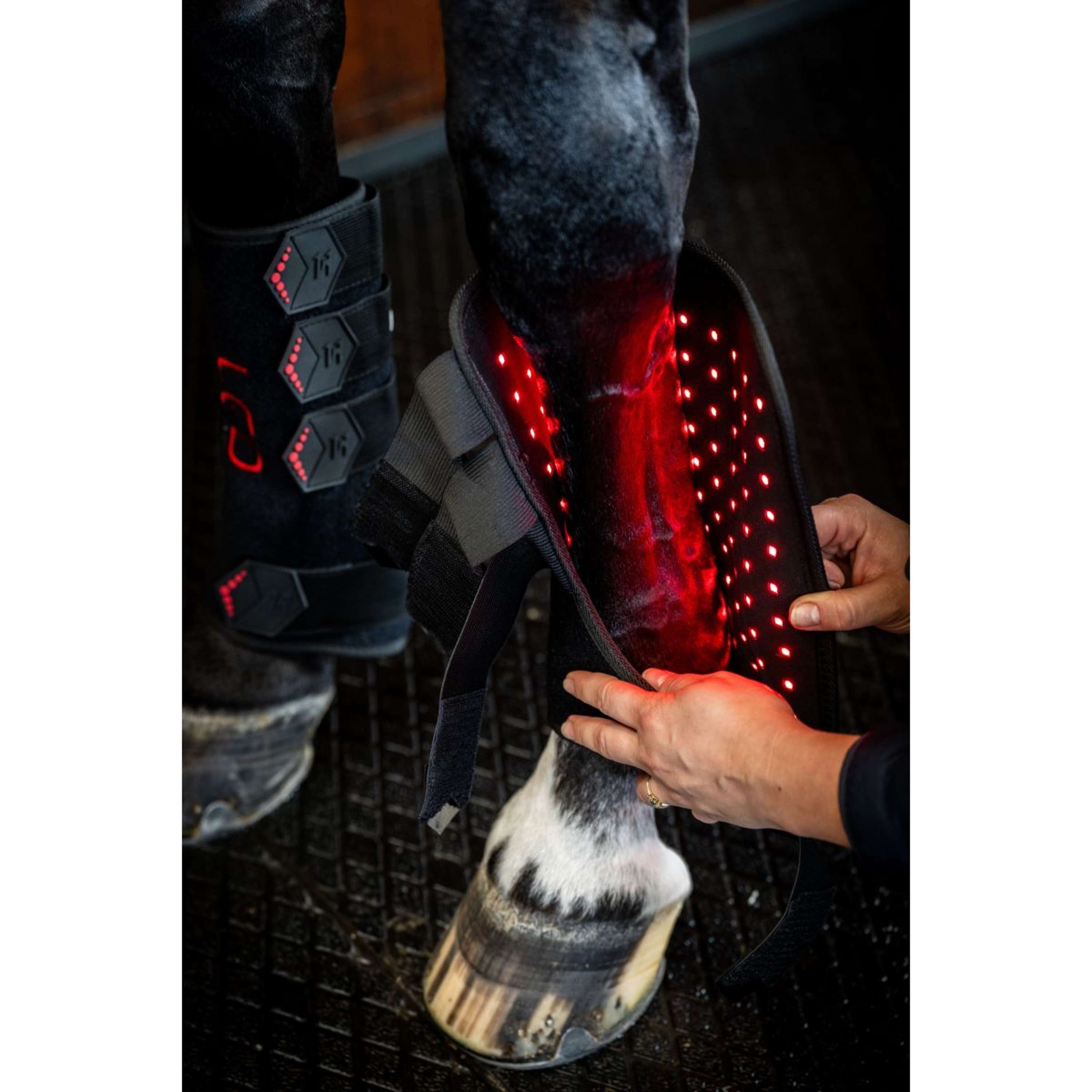 Horseware Leg Wraps LED Red Light Therapy Pair Nero