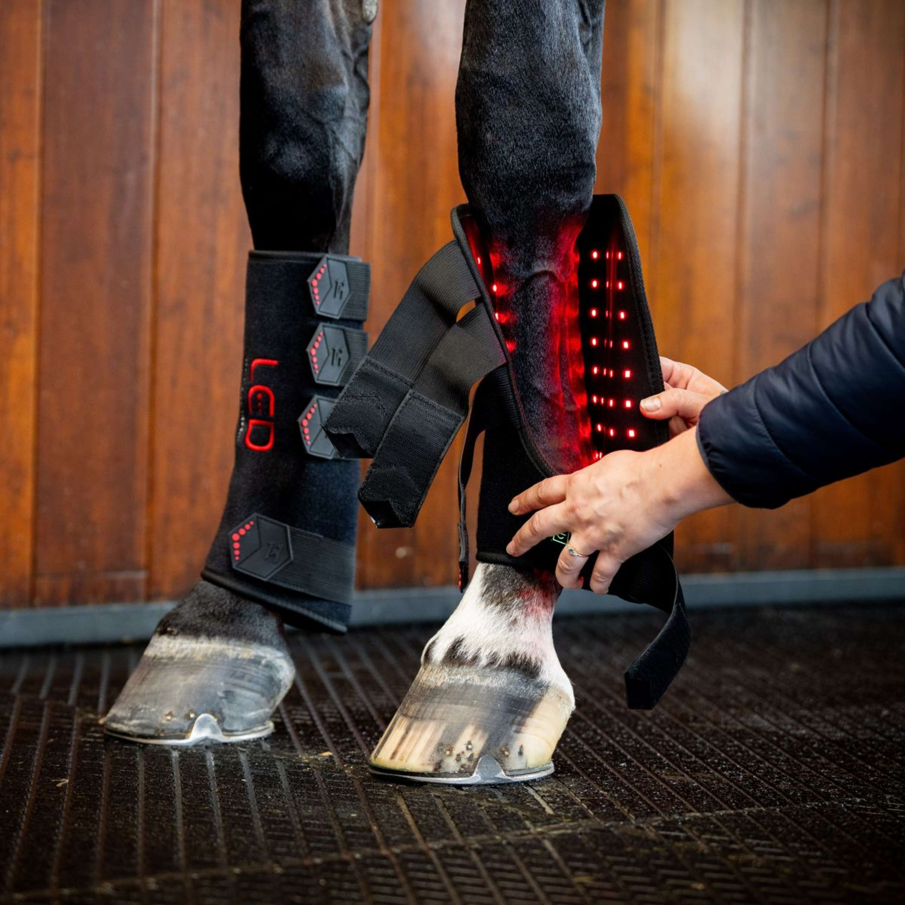 Horseware Leg Wraps LED Red Light Therapy Pair Nero
