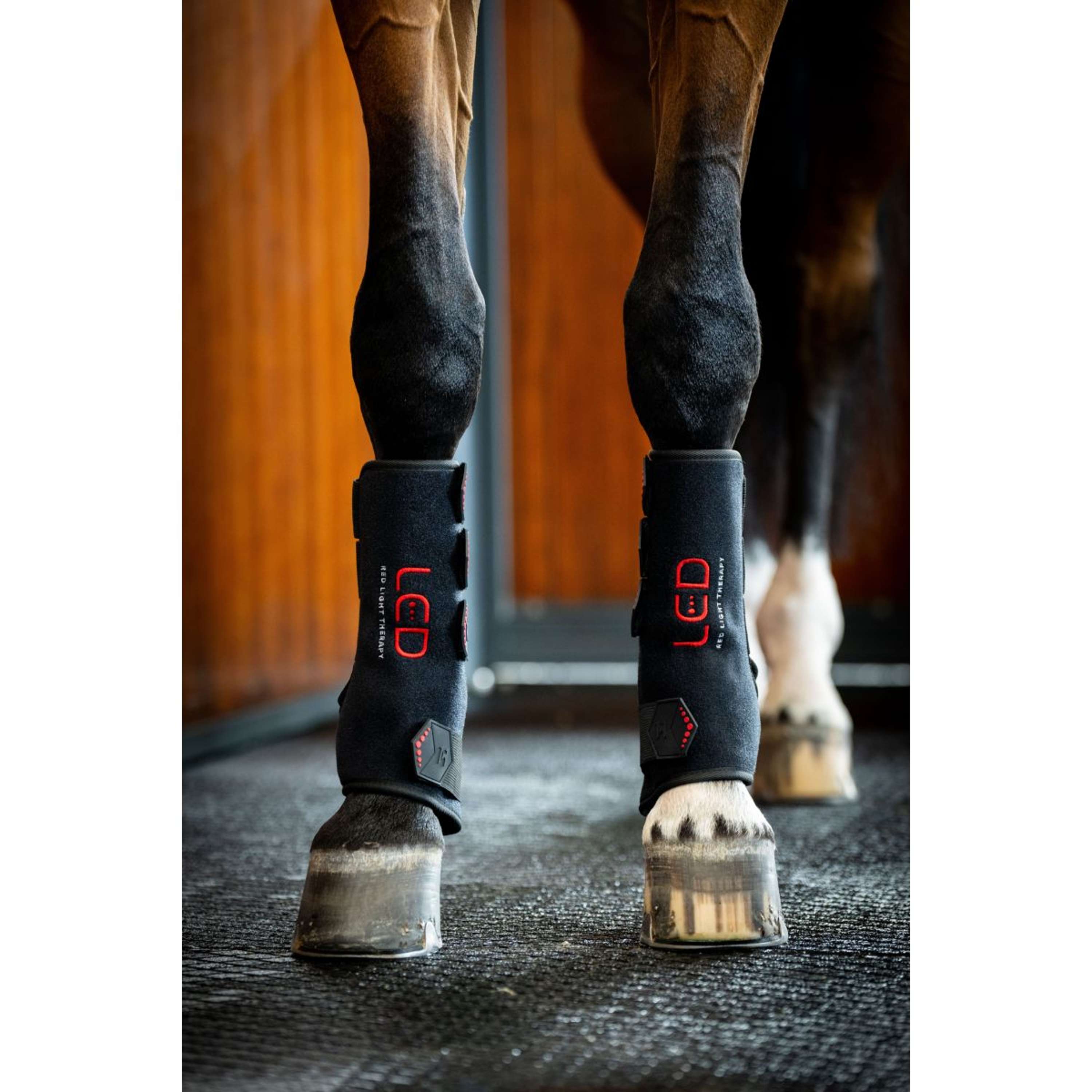 Horseware Leg Wraps LED Red Light Therapy Pair Nero