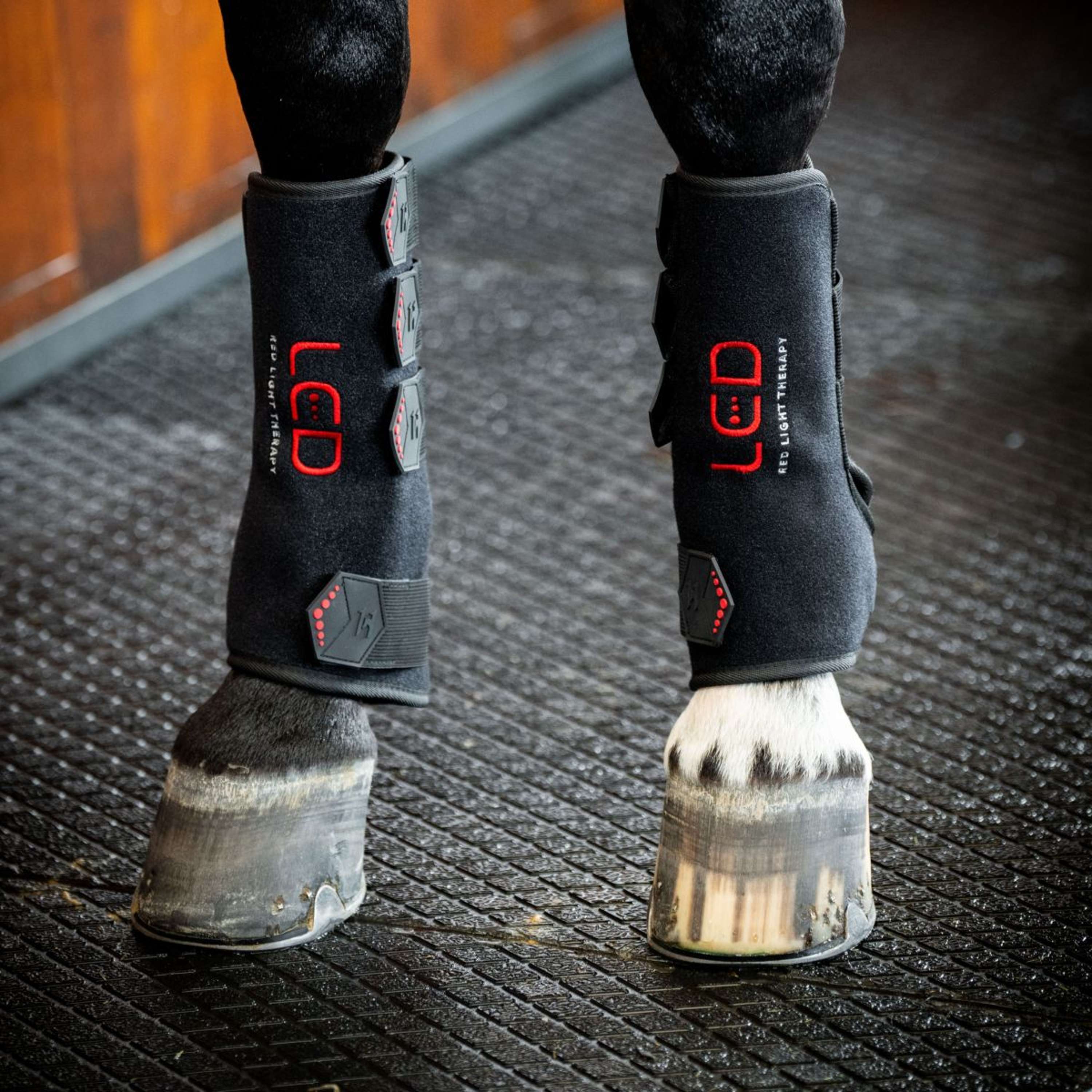 Horseware Leg Wraps LED Red Light Therapy Pair Nero