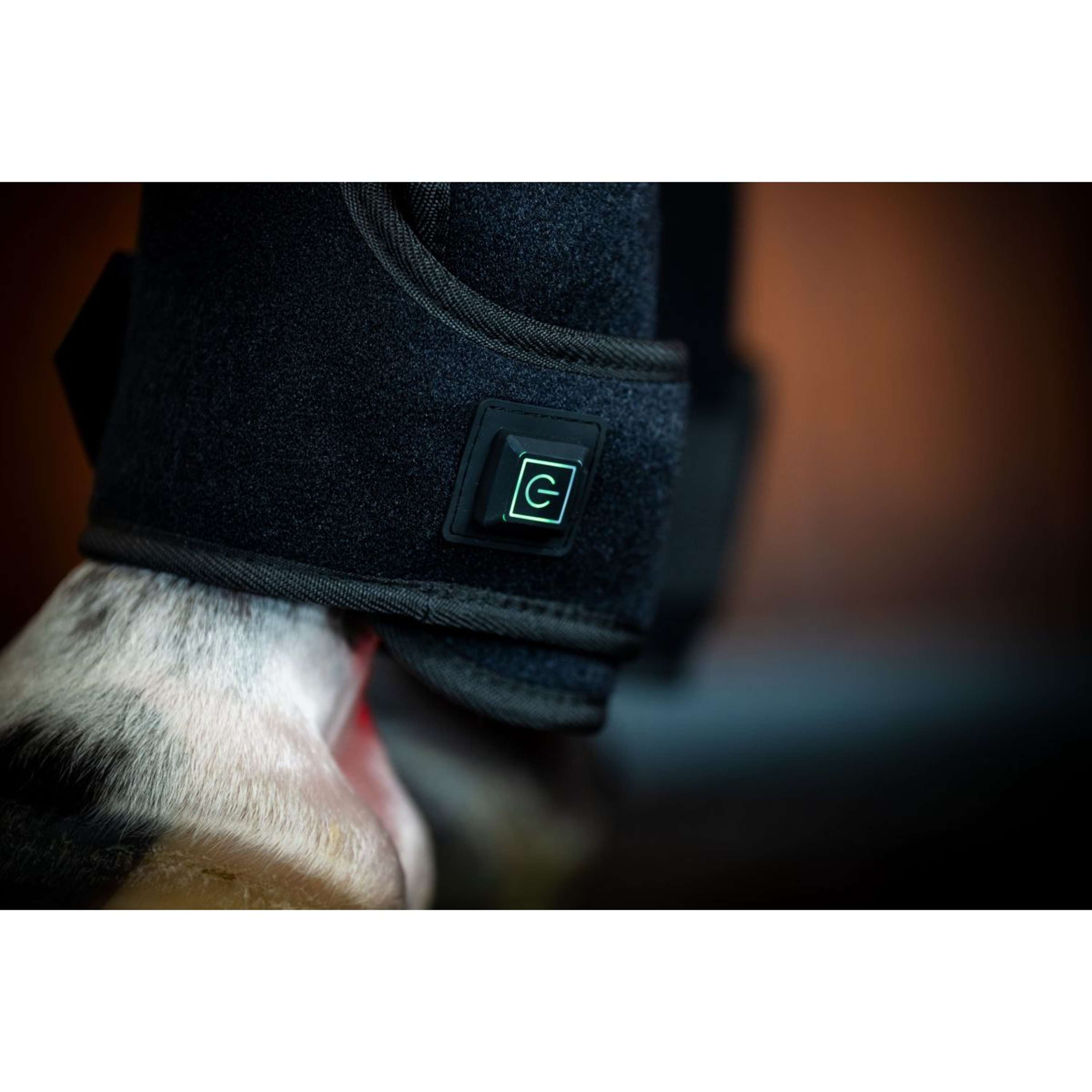 Horseware Leg Wraps LED Red Light Therapy Pair Nero