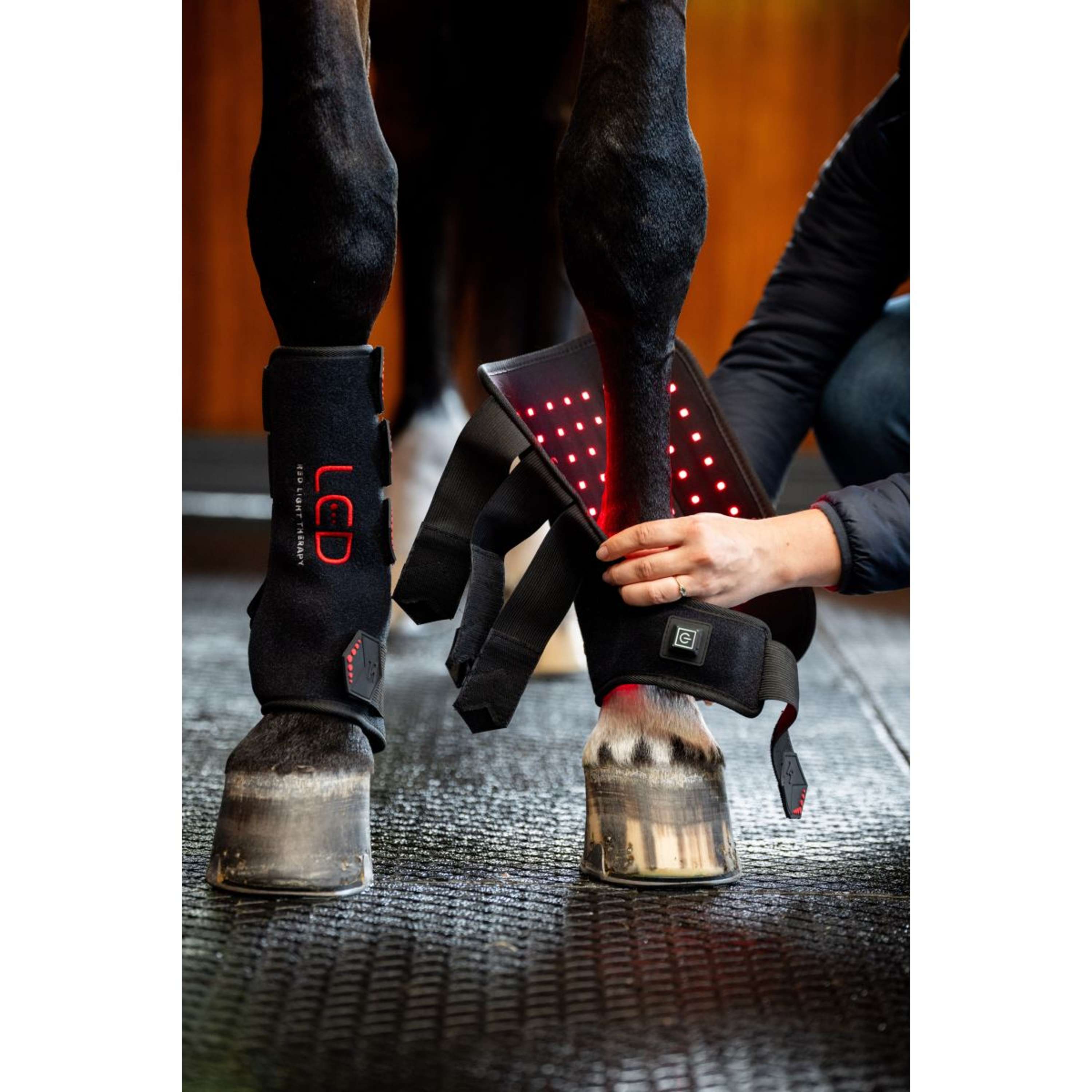 Horseware Leg Wraps LED Red Light Therapy Pair Nero