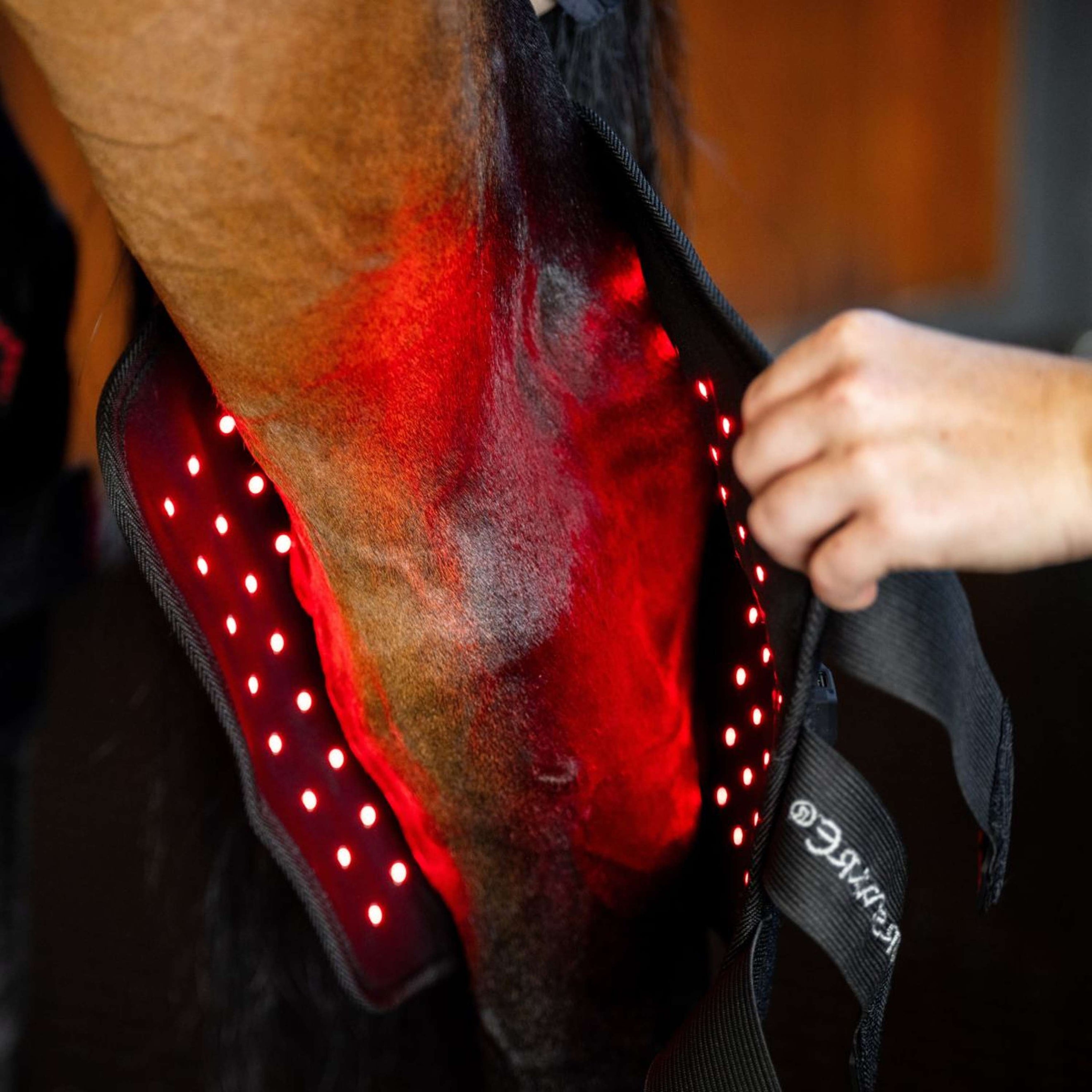 Horseware Hock Boots LED Red Light Therapy Pair Nero