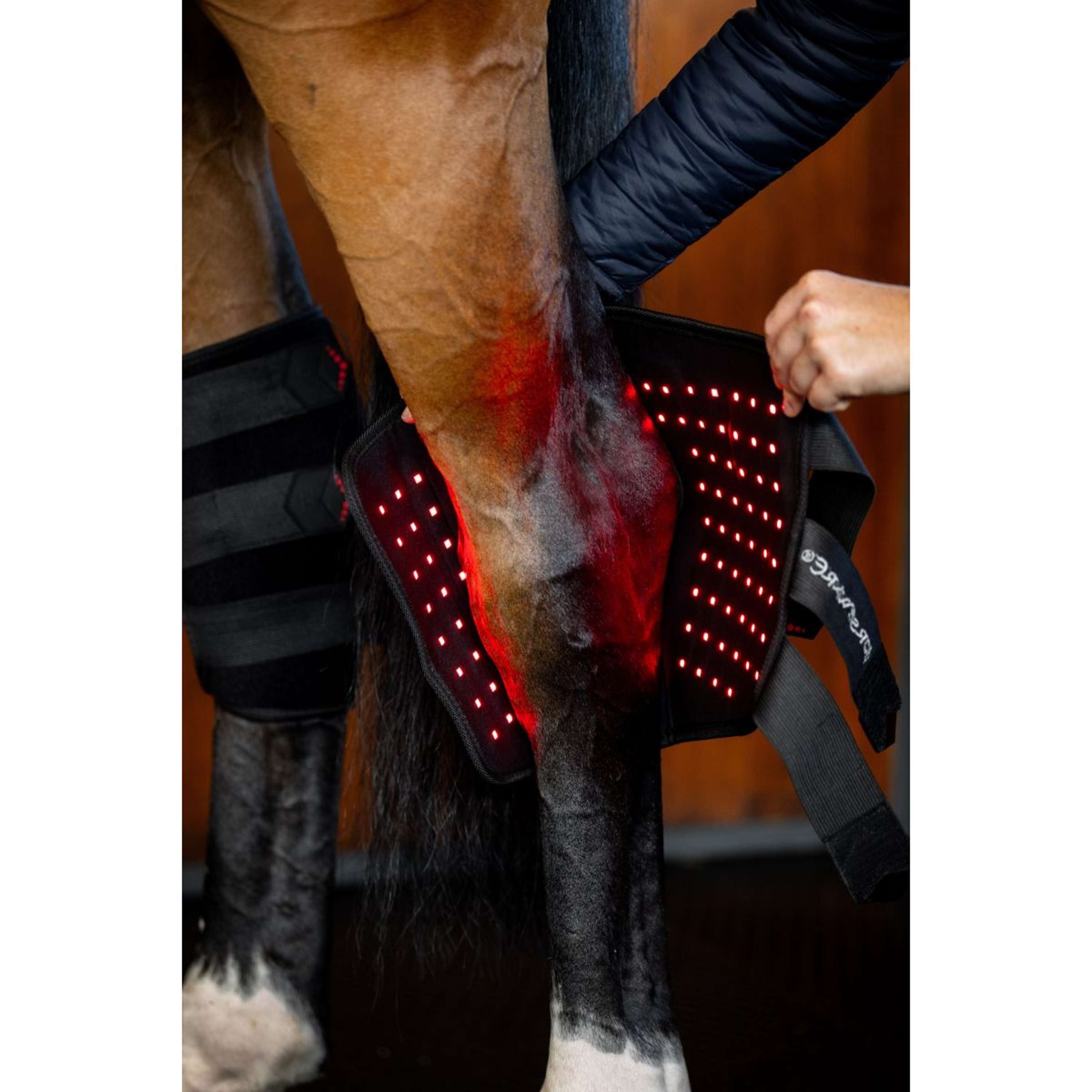 Horseware Hock Boots LED Red Light Therapy Pair Nero