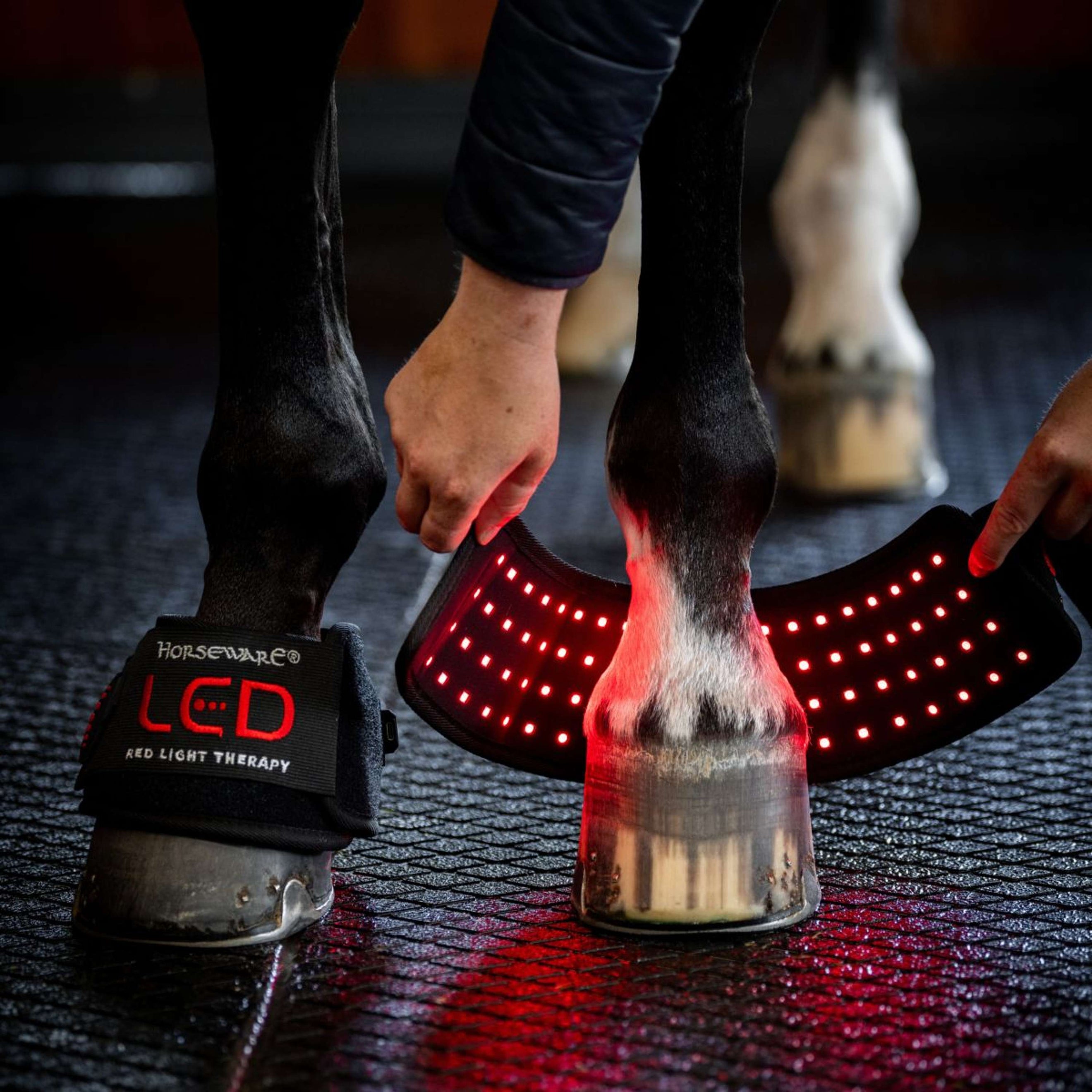 Horseware Mini Wraps LED Red Light Therapy Pair Nero