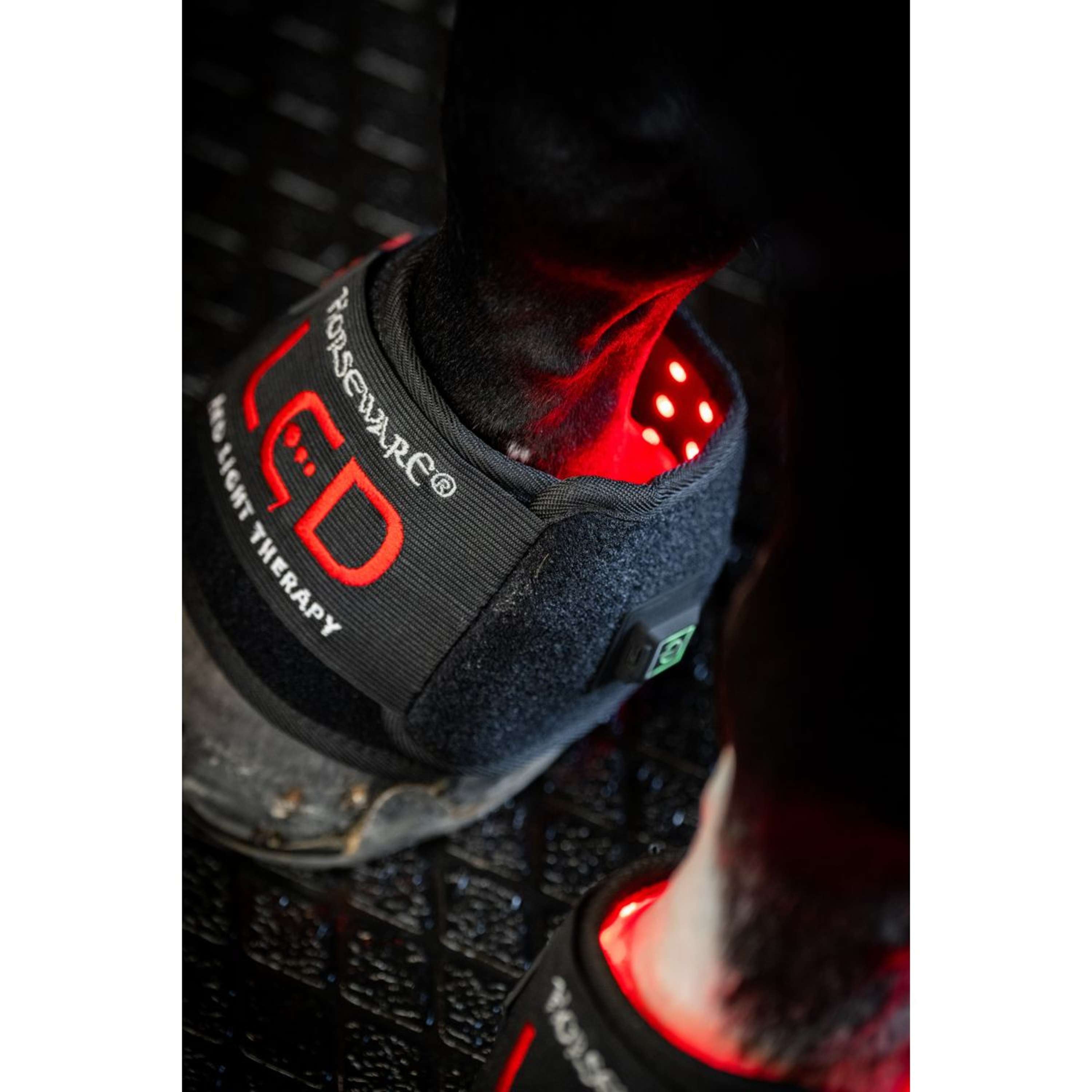 Horseware Mini Wraps LED Red Light Therapy Quad Nero