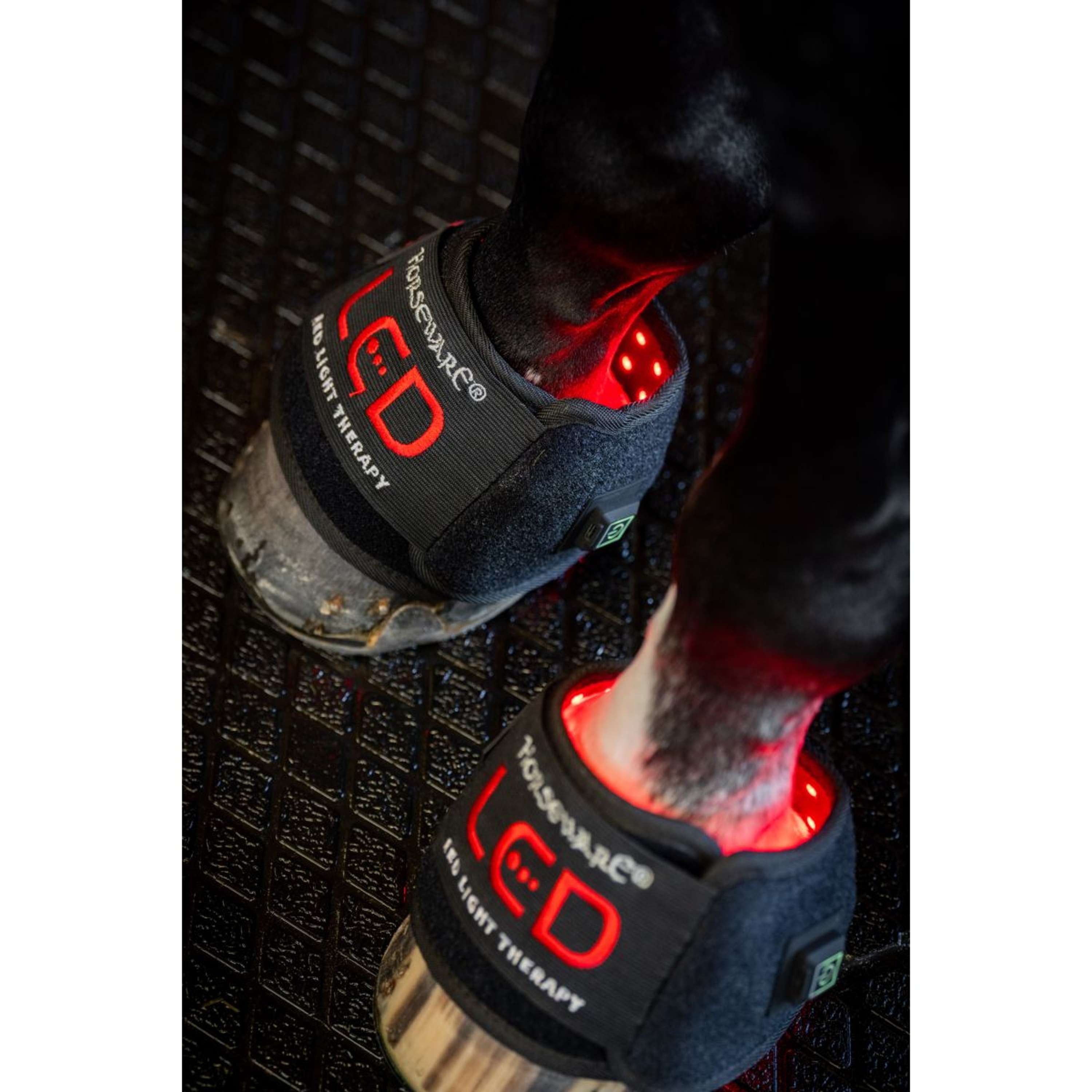 Horseware Mini Wraps LED Red Light Therapy Quad Nero