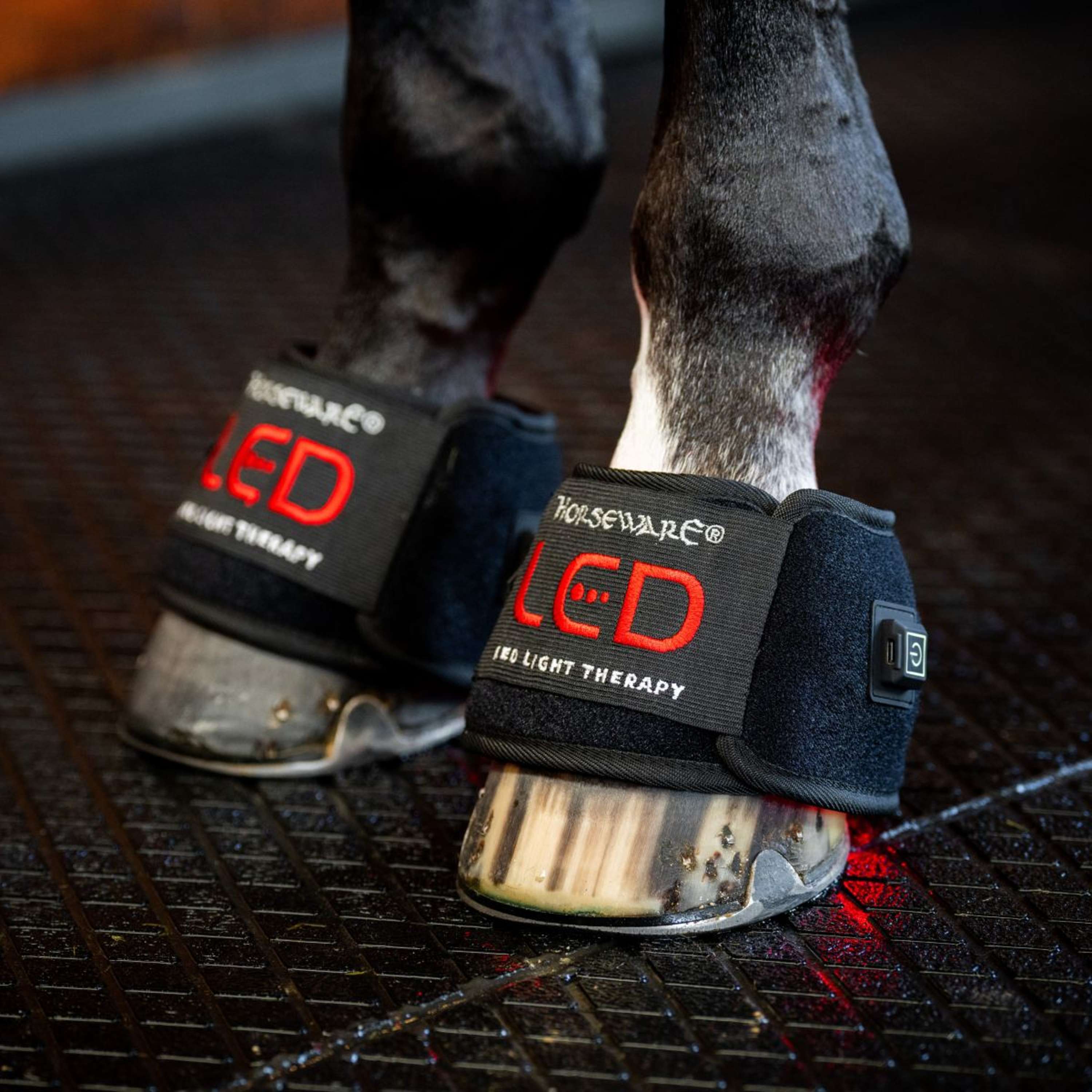 Horseware Mini Wraps LED Red Light Therapy Quad Nero