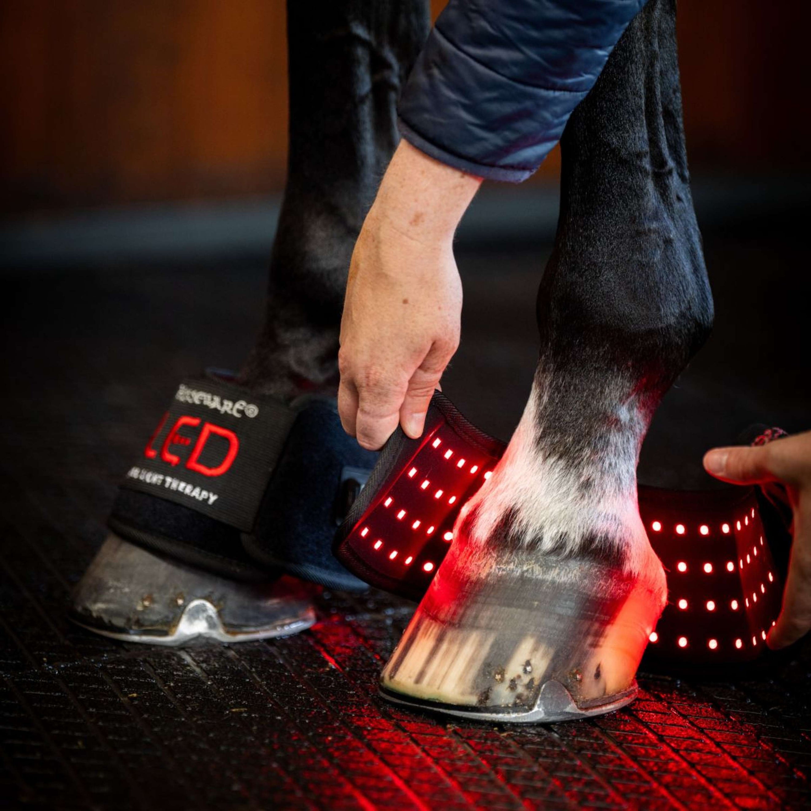 Horseware Mini Wraps LED Red Light Therapy Quad Nero