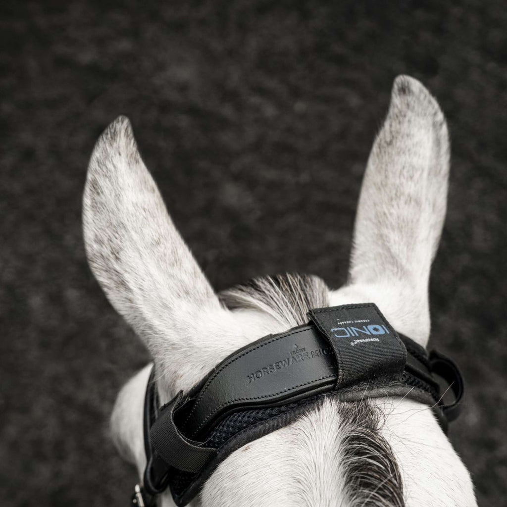 Horseware Proteggi Briglia Ionic Nero