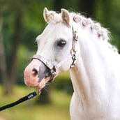 Imperial Riding Capezzina IRHRebel Grigio
