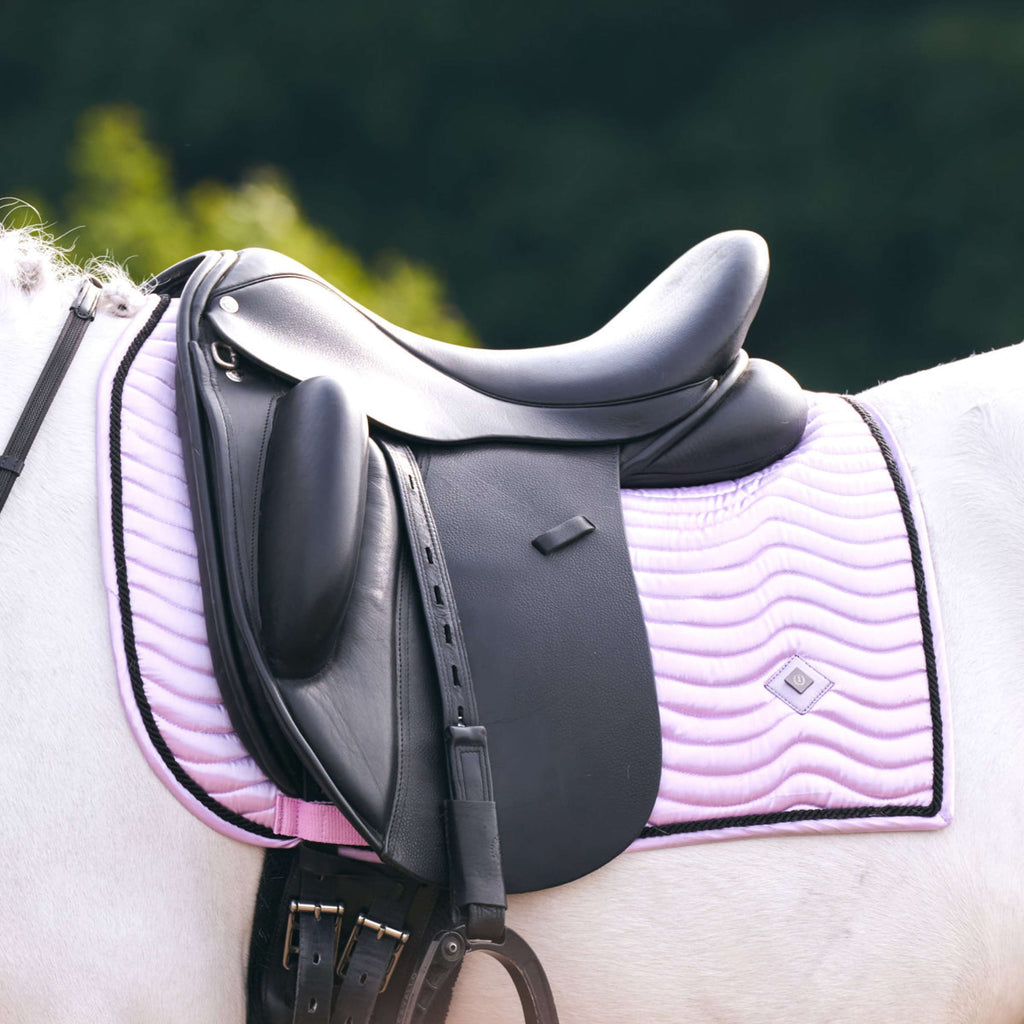 Imperial Riding Sottosella IRHRebel Dressage Wisteria