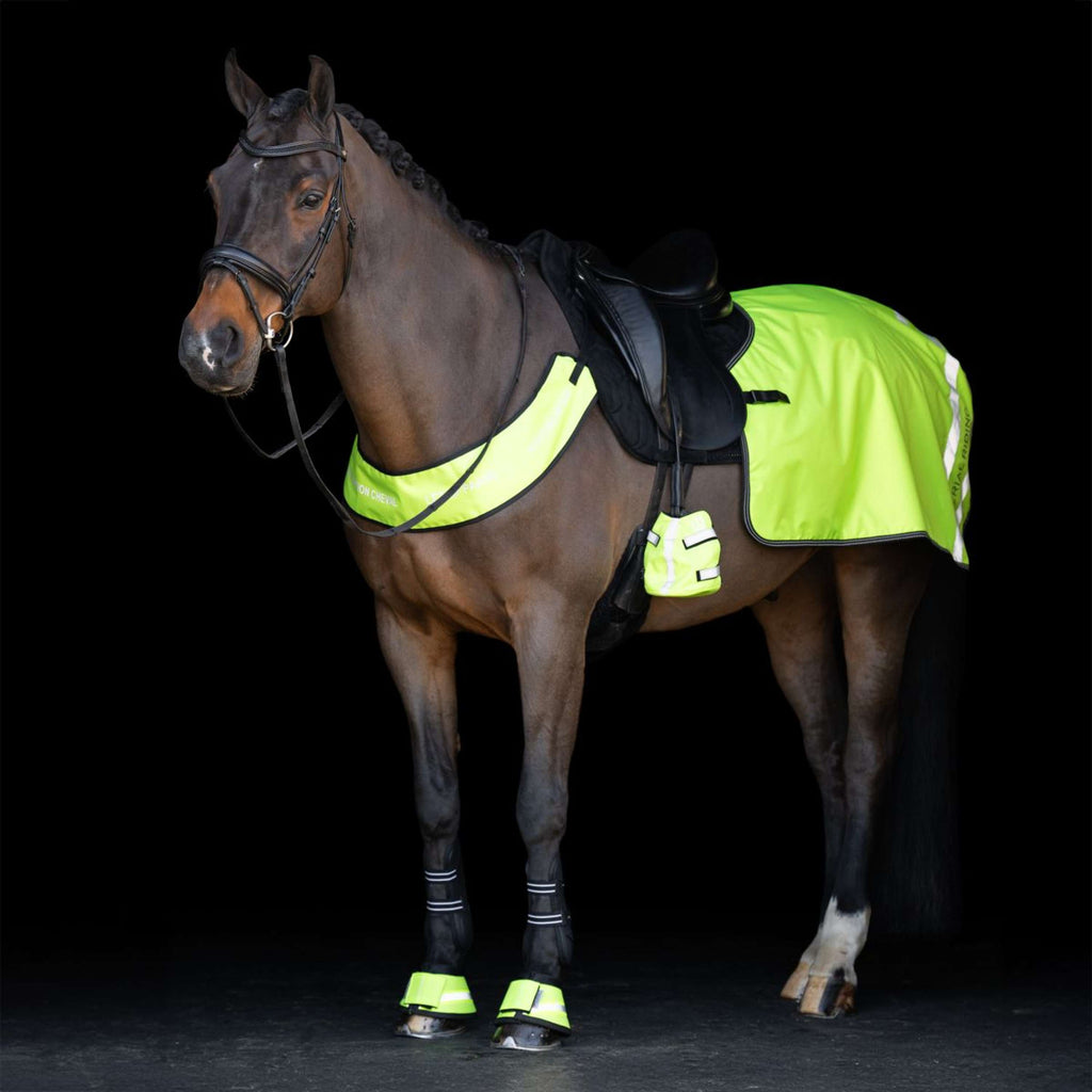 Imperial Riding Stivaletti a Campana IRHReflective Giallo