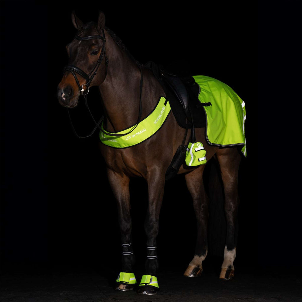 Imperial Riding Stivaletti a Campana IRHReflective Giallo