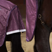 Imperial Riding Tappeto da Esterno IRHSuper-Dry 200 g Fig