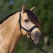 Imperial Riding Capezzina IRHSparkle Nero