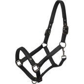 Imperial Riding Capezzina IRHRebel Nero