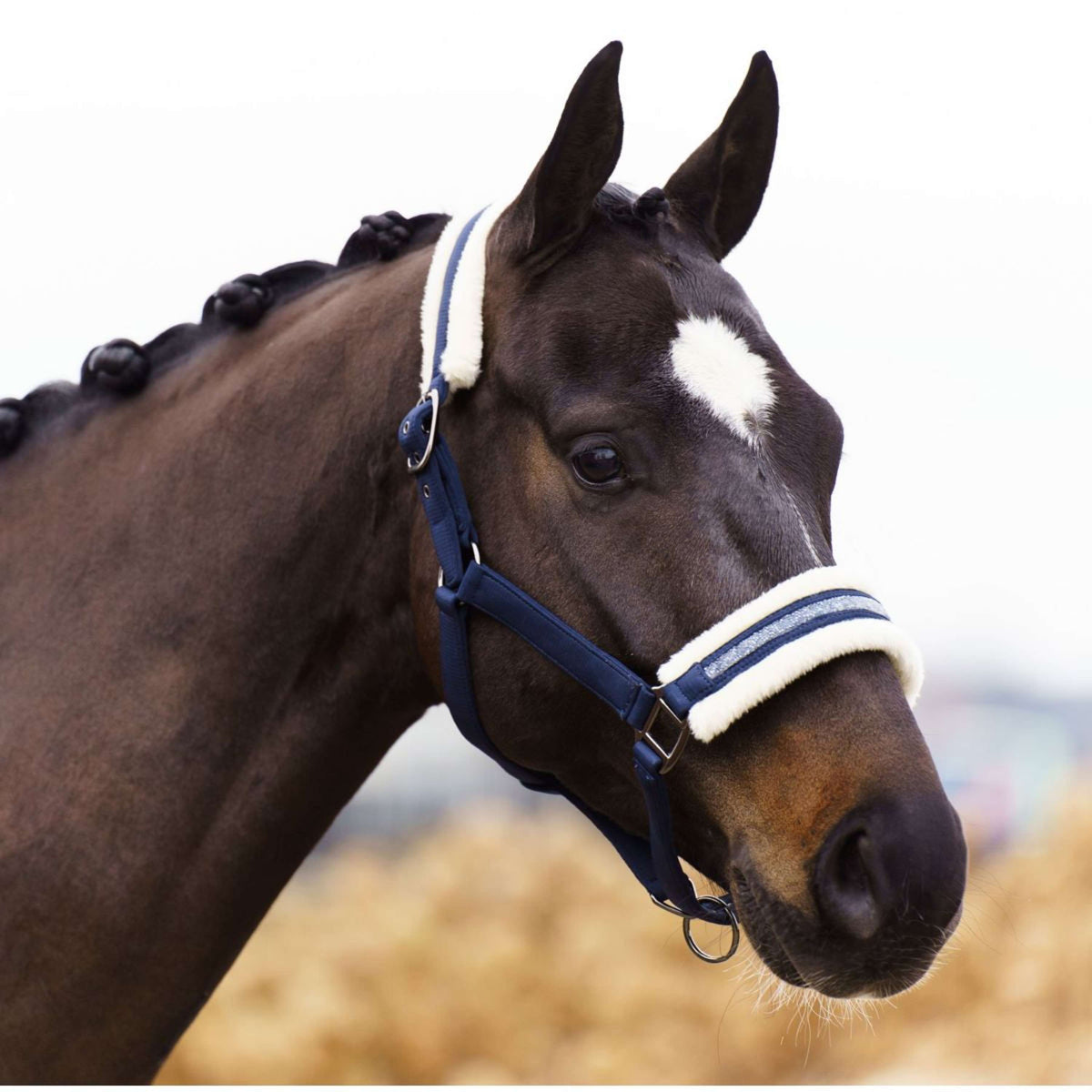 Imperial Riding Capezzina IRHJewel Grigio scuro/sabbia