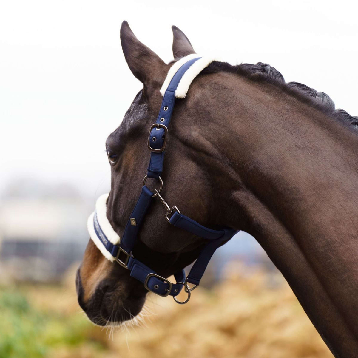 Imperial Riding Capezzina IRHJewel Grigio scuro/sabbia