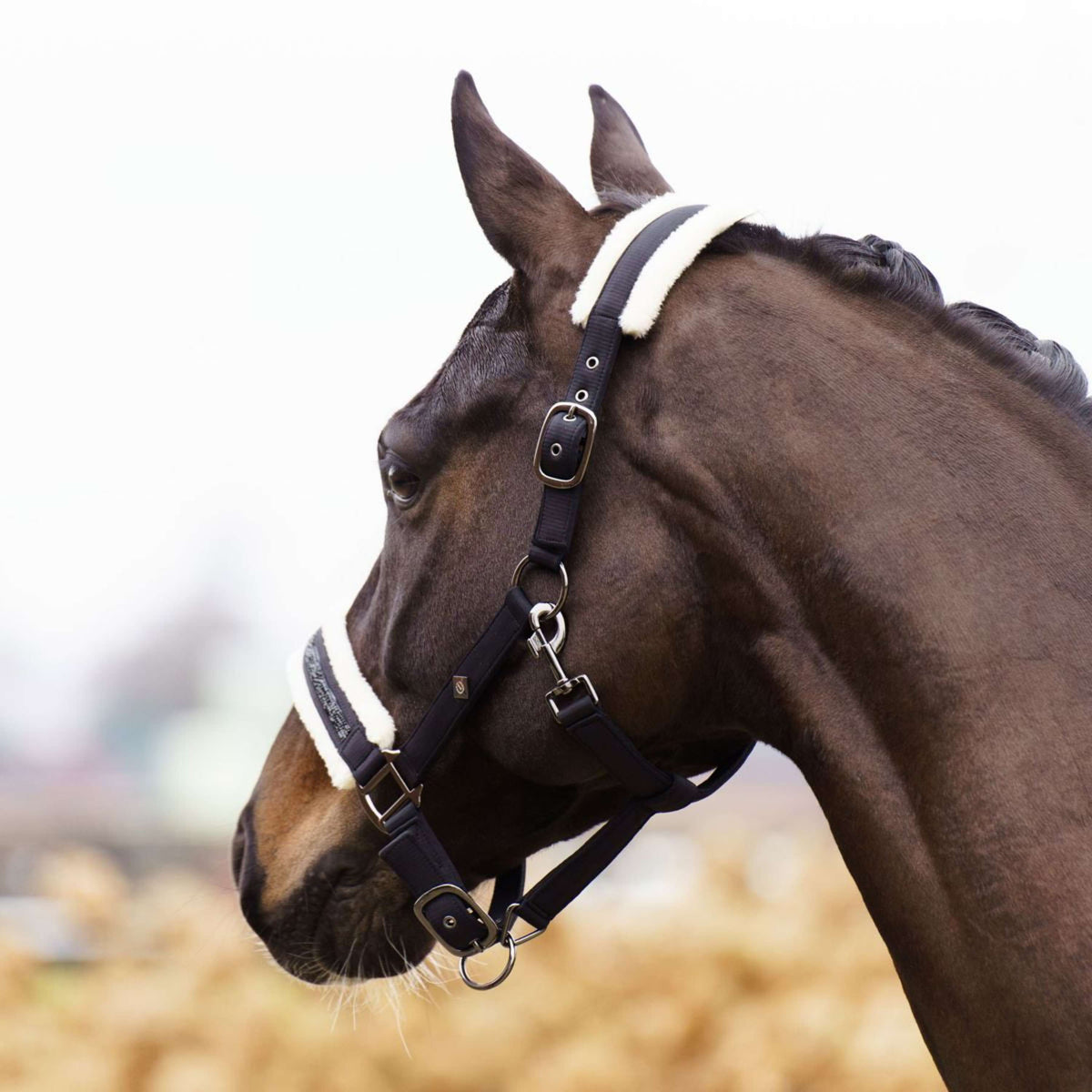 Imperial Riding Capezzina IRHJewel Nero