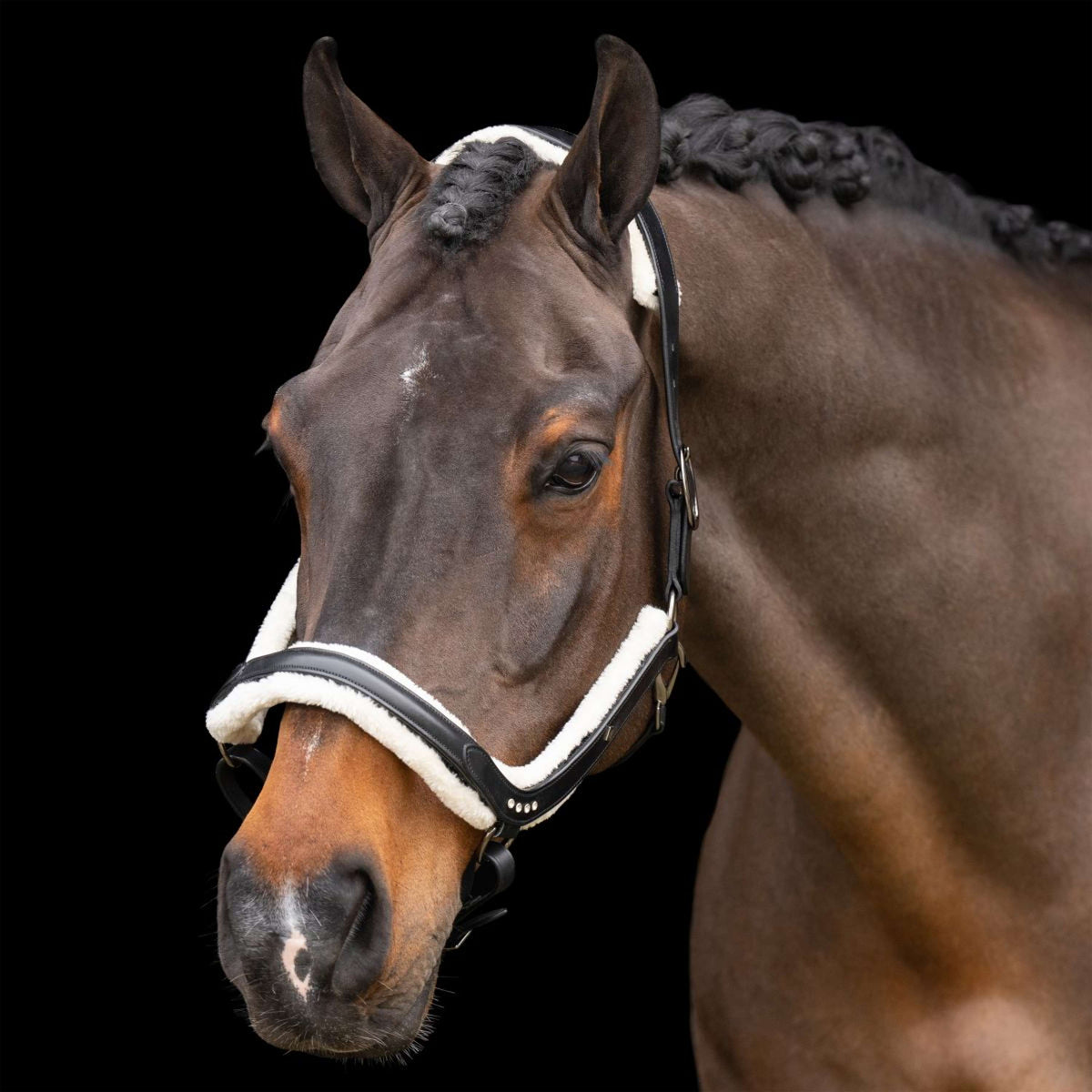 Imperial Riding Capezzina IRHLuxury Nero