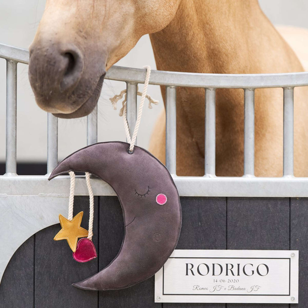 Imperial Riding Giocattoli IRHStable Moony