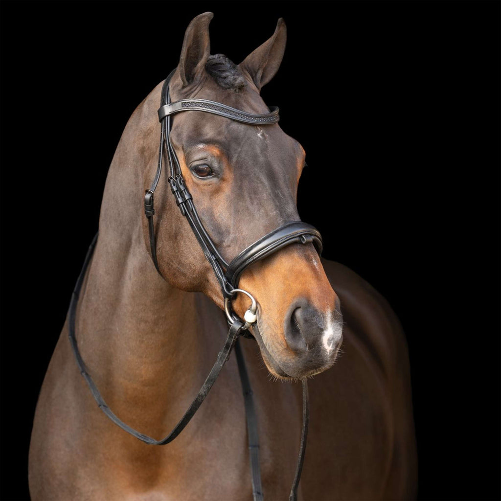Imperial Riding Briglia IRH Nero