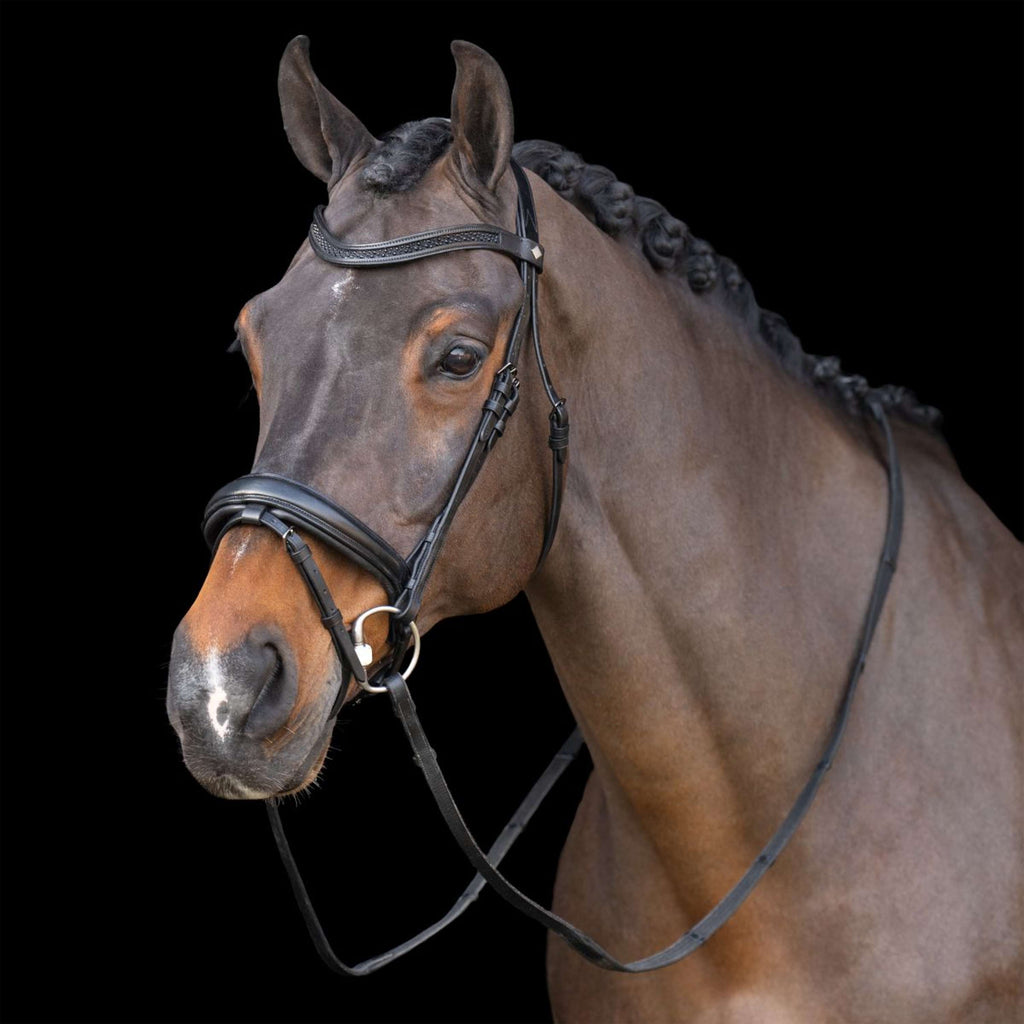 Imperial Riding Briglia IRH Nero