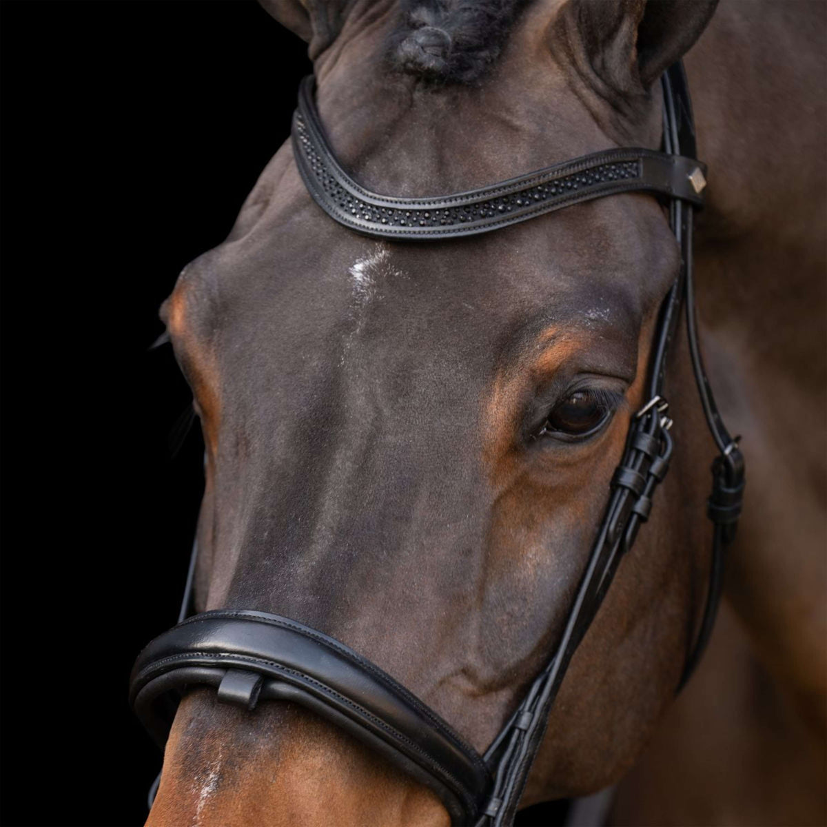 Imperial Riding Briglia IRH Nero