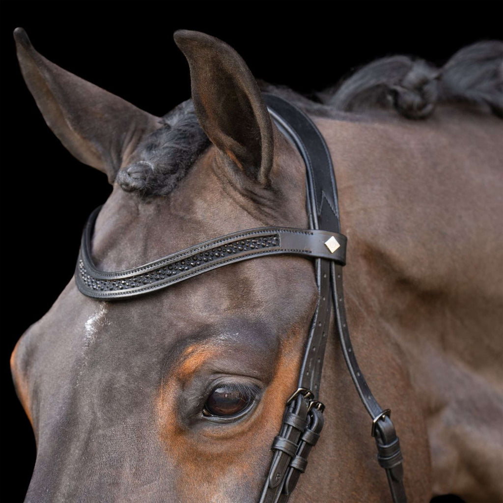 Imperial Riding Briglia IRH Nero