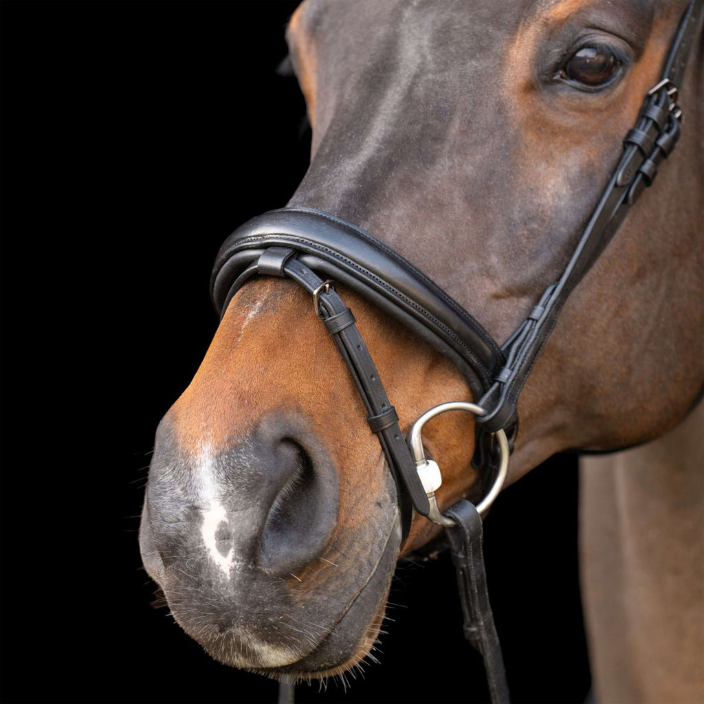 Imperial Riding Briglia IRH Nero
