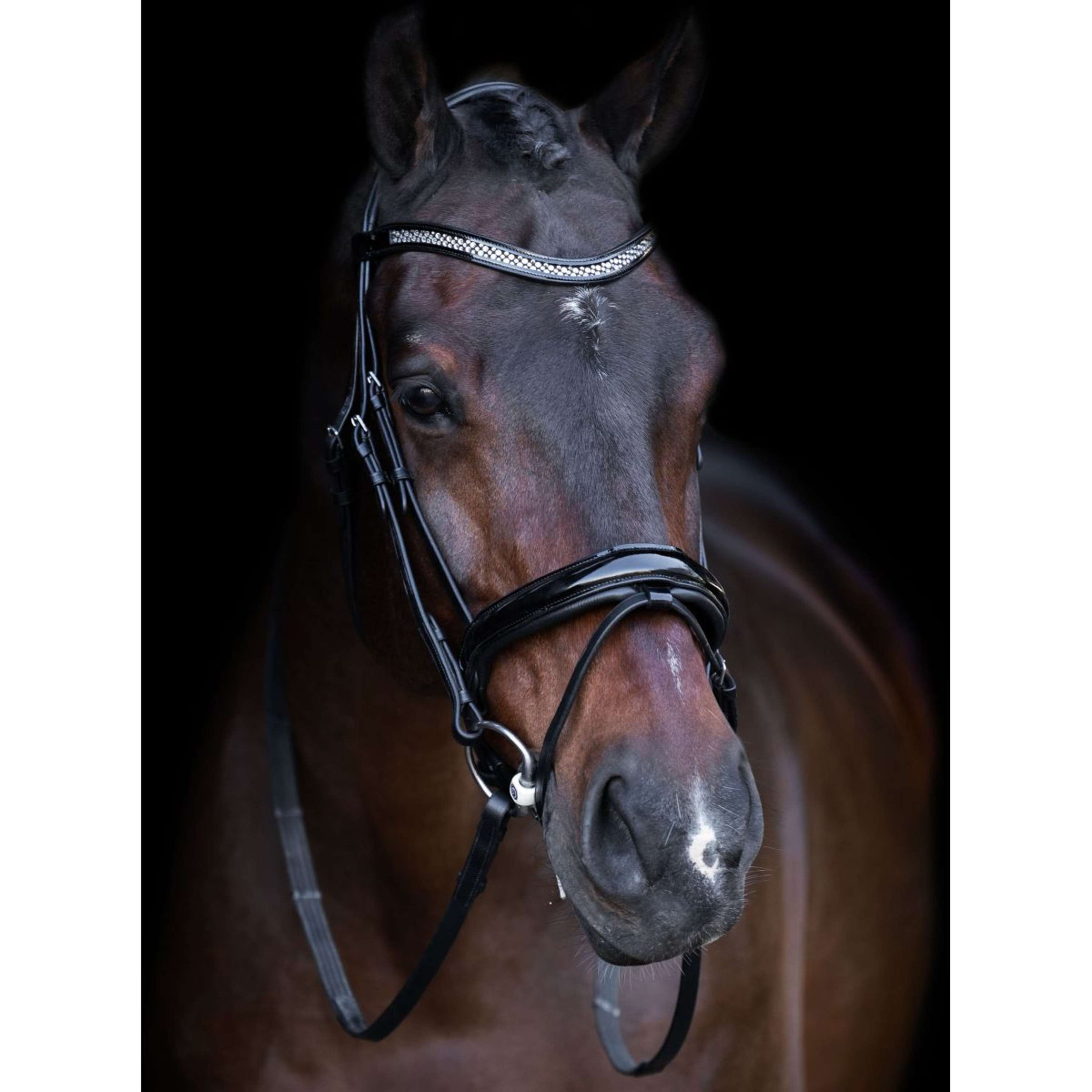 Imperial Riding Briglia IRH Nero/cristallo Imperial Riding Briglia IRH Nero/cristallo