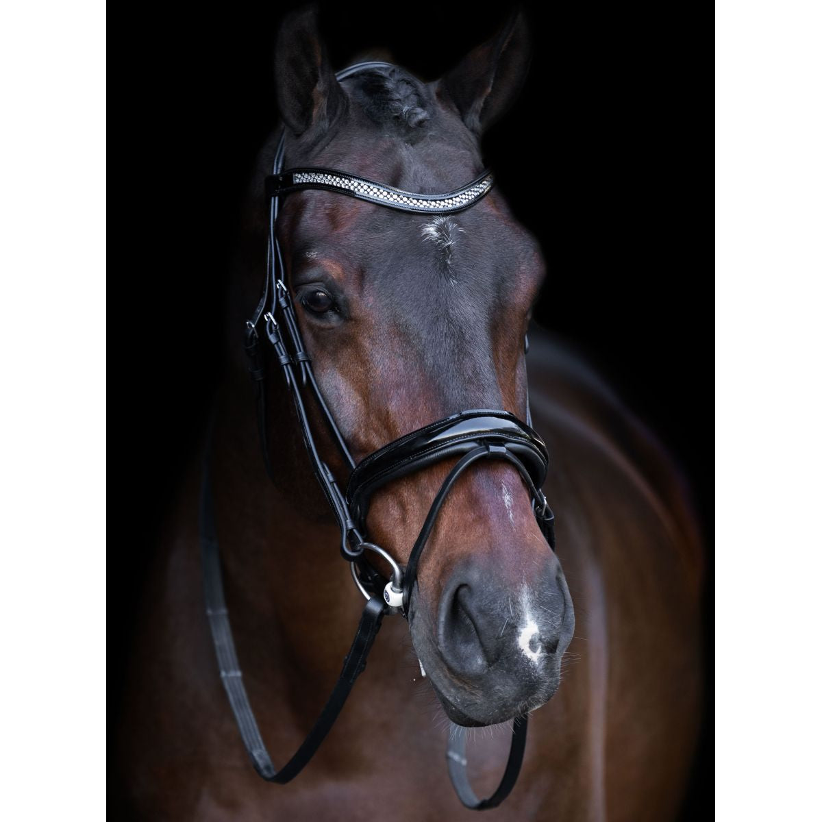 Imperial Riding Briglia IRH Nero/cristallo