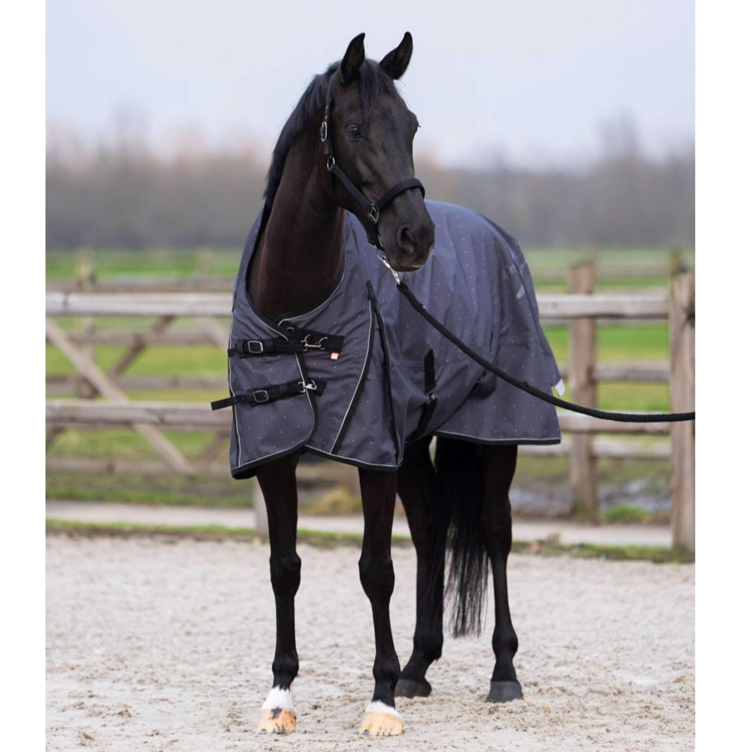 Imperial Riding Tappeto da Esterno IRHSuper-dry AOP 0g Grigio
