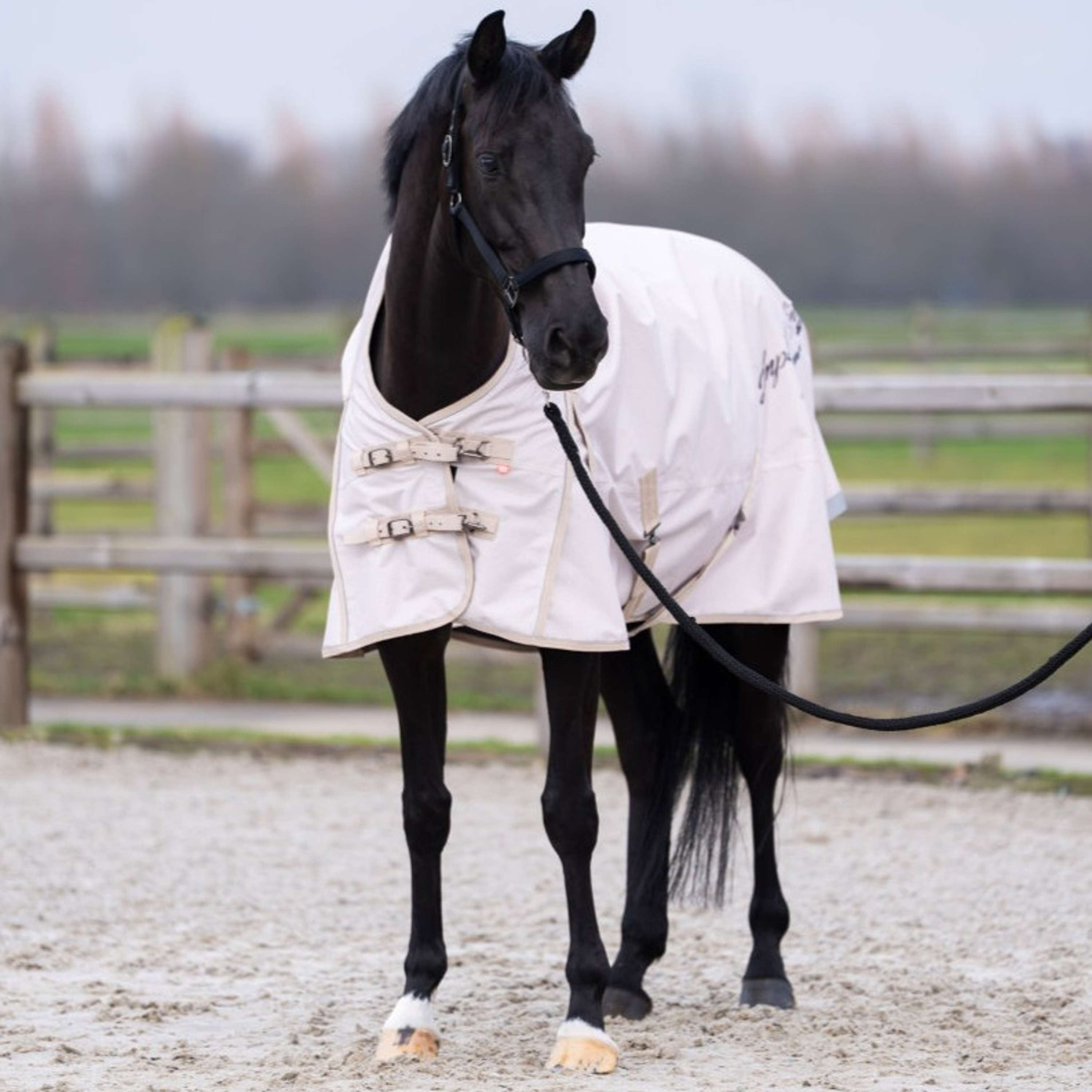 Imperial Riding Tappeto da Esterno IRHSuper-dry AOP 0g Taupe