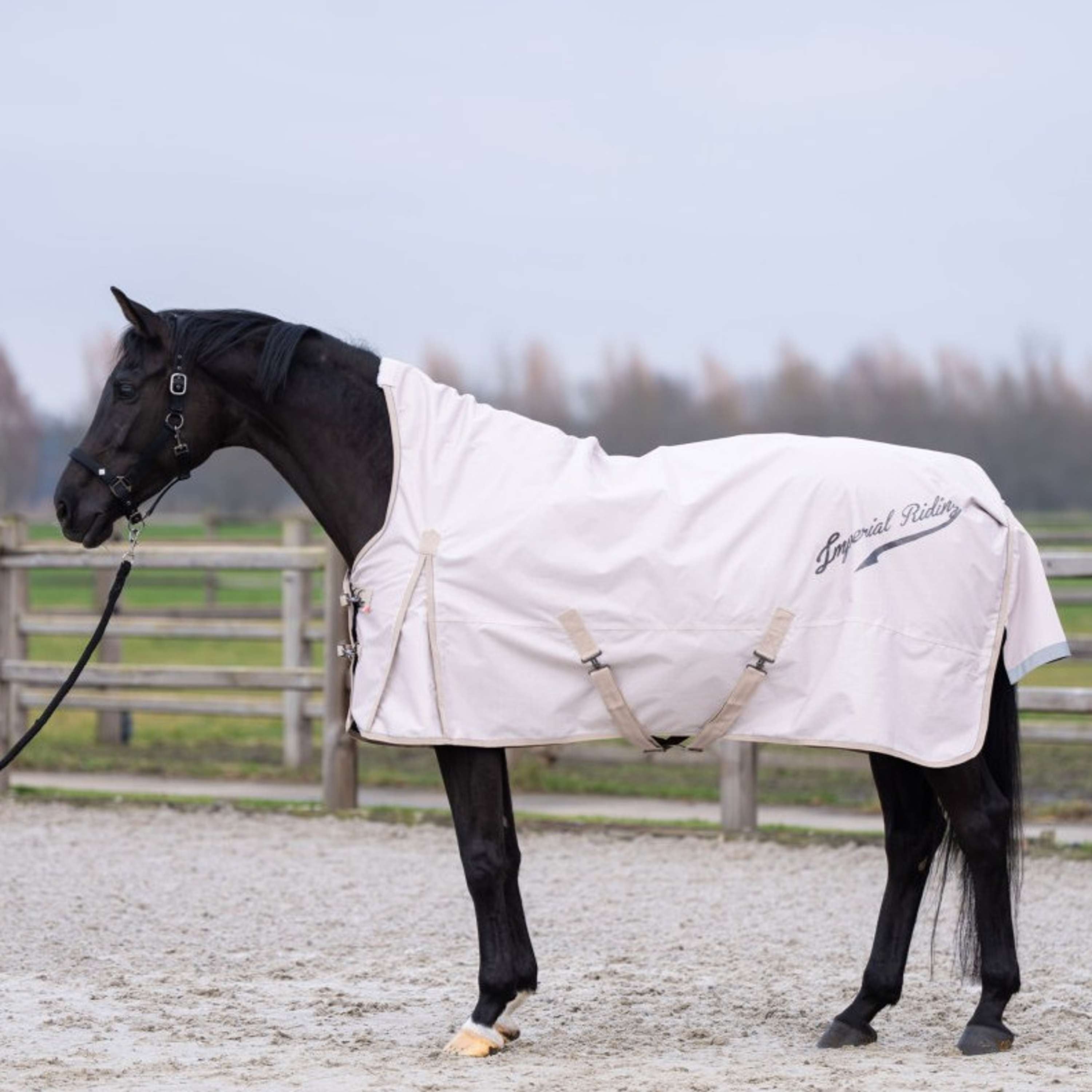 Imperial Riding Tappeto da Esterno IRHSuper-dry AOP 0g Taupe