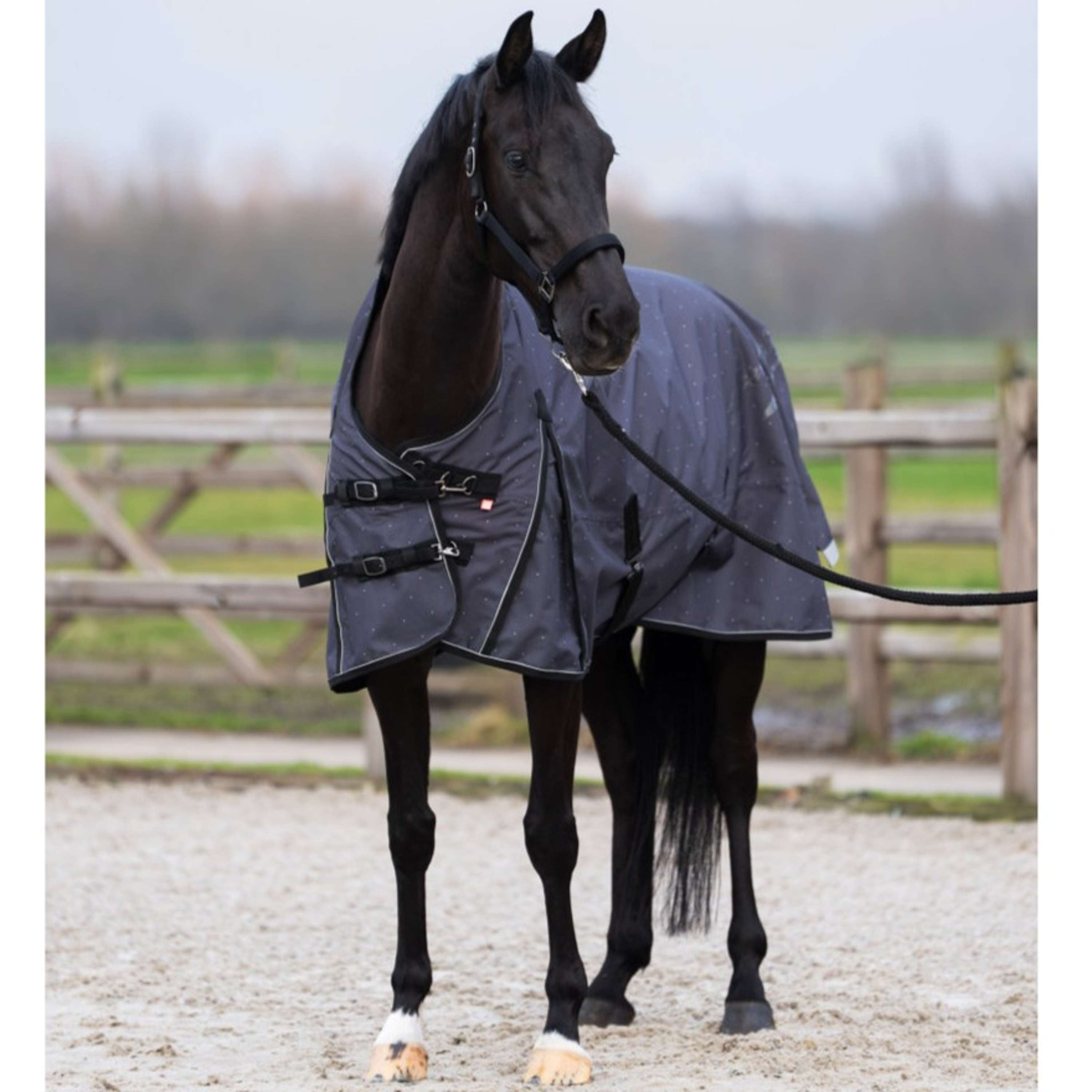 Imperial Riding Tappeto da Esterno IRHSuper-dry AOP 100g Grigio