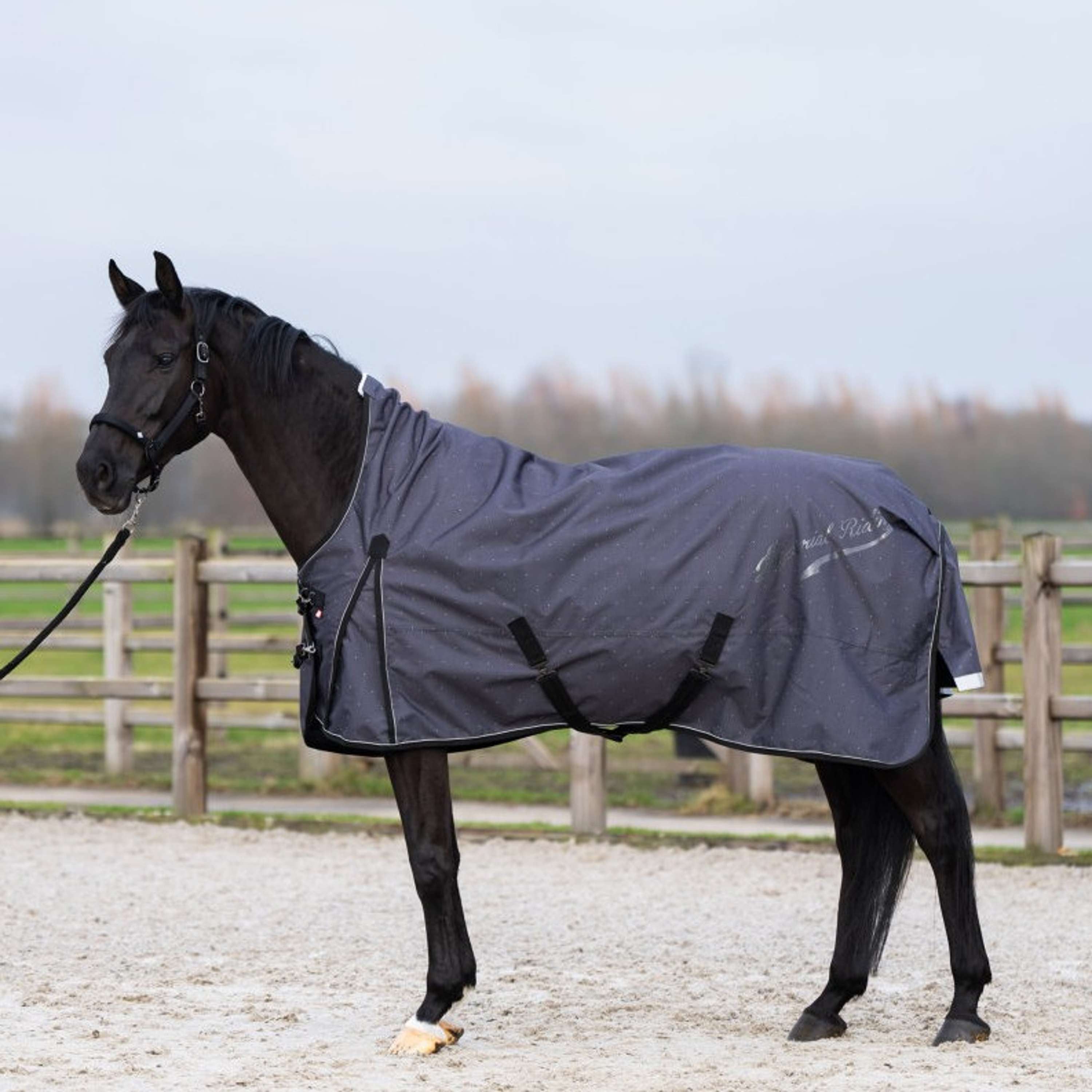 Imperial Riding Tappeto da Esterno IRHSuper-dry AOP 100g Grigio