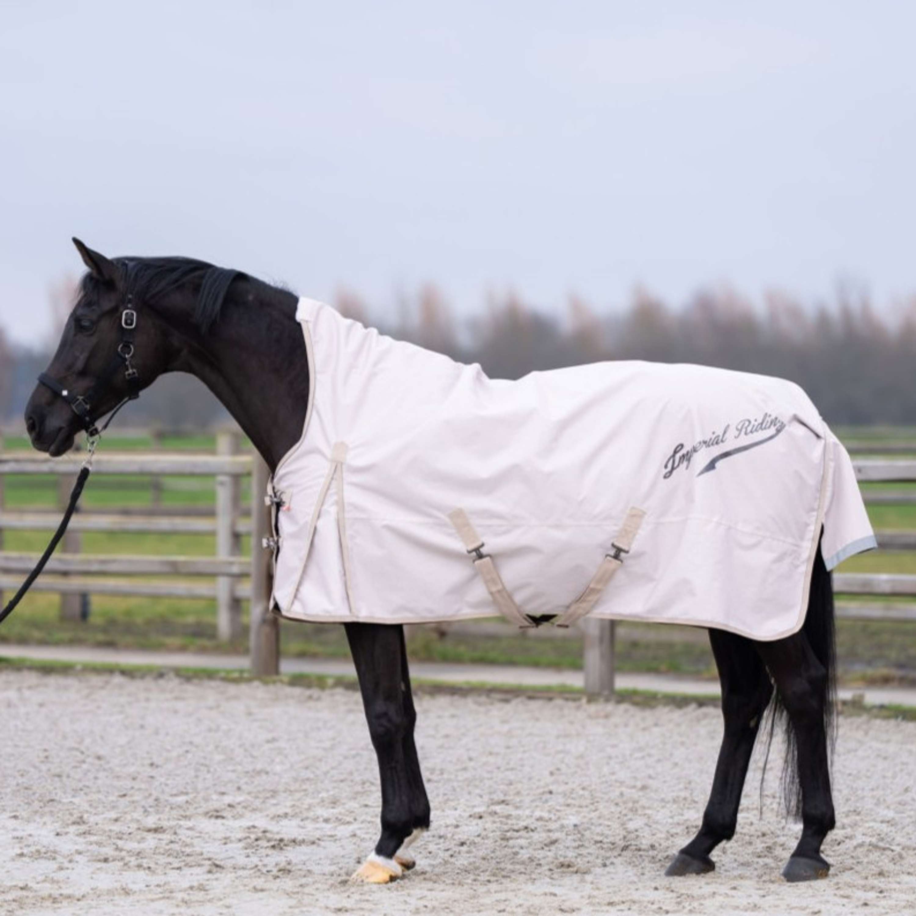 Imperial Riding Tappeto da Esterno IRHSuper-dry AOP 100g Taupe