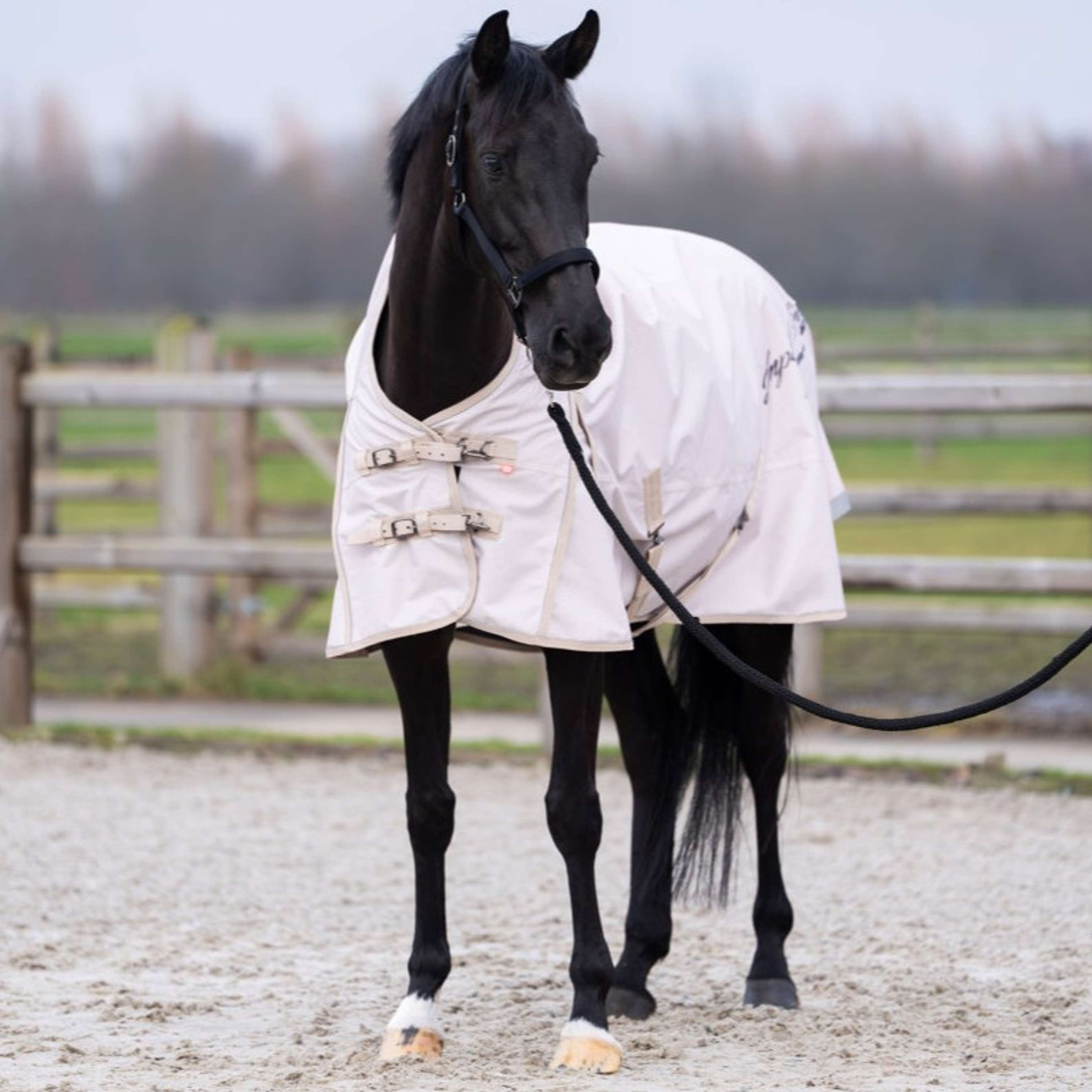 Imperial Riding Tappeto da Esterno IRHSuper-dry AOP 300g Taupe