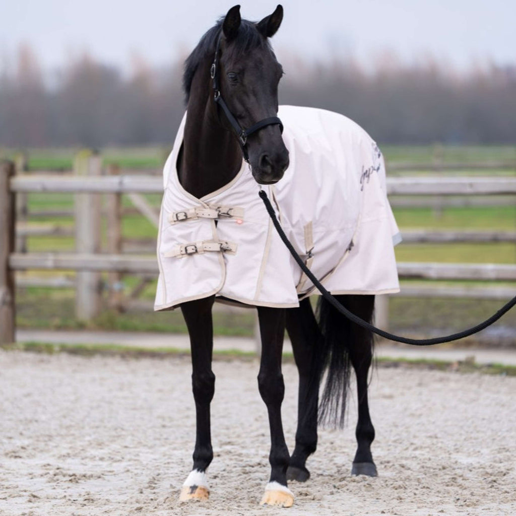 Imperial Riding Tappeto da Esterno IRHSuper-dry AOP 300g Taupe
