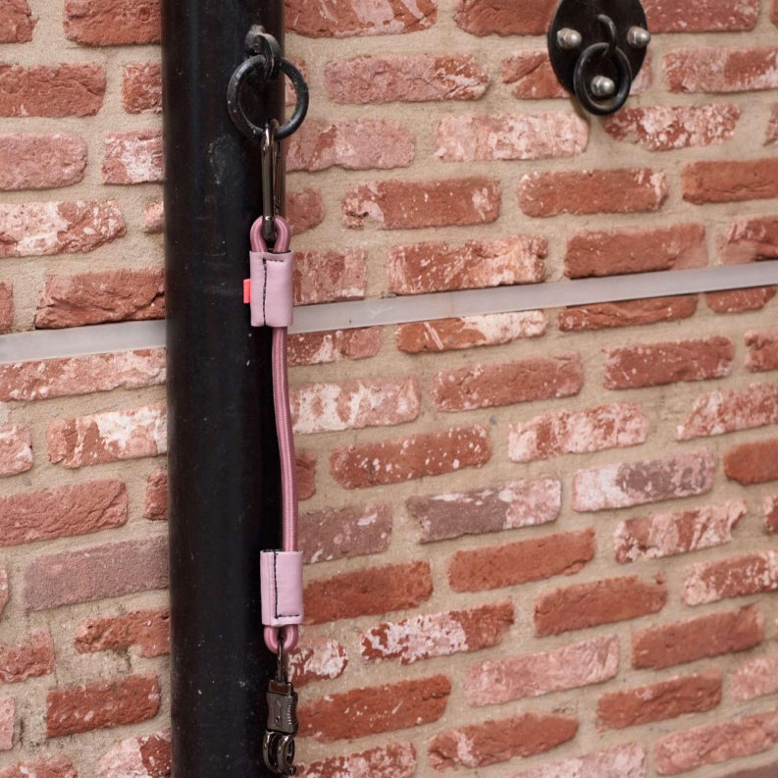 Imperial Riding Linea Rimorchio Elastisch Mauve